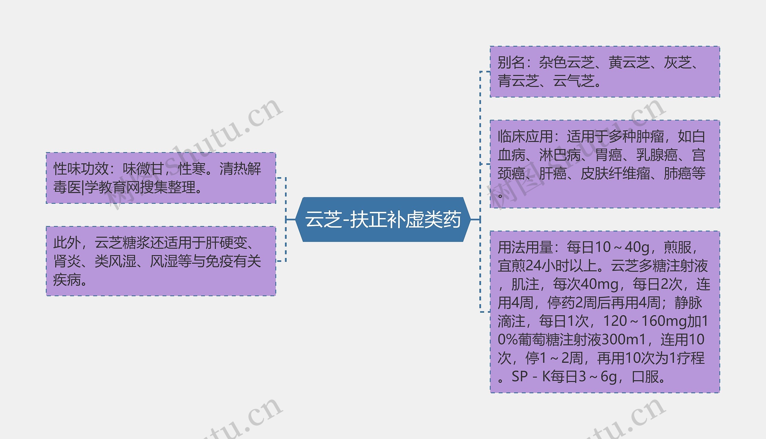 云芝-扶正补虚类药思维导图