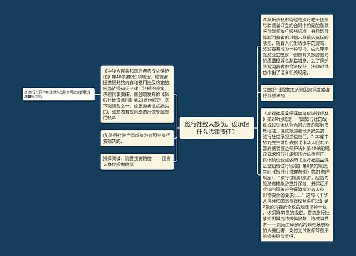 旅行社致人损伤，该承担什么法律责任？