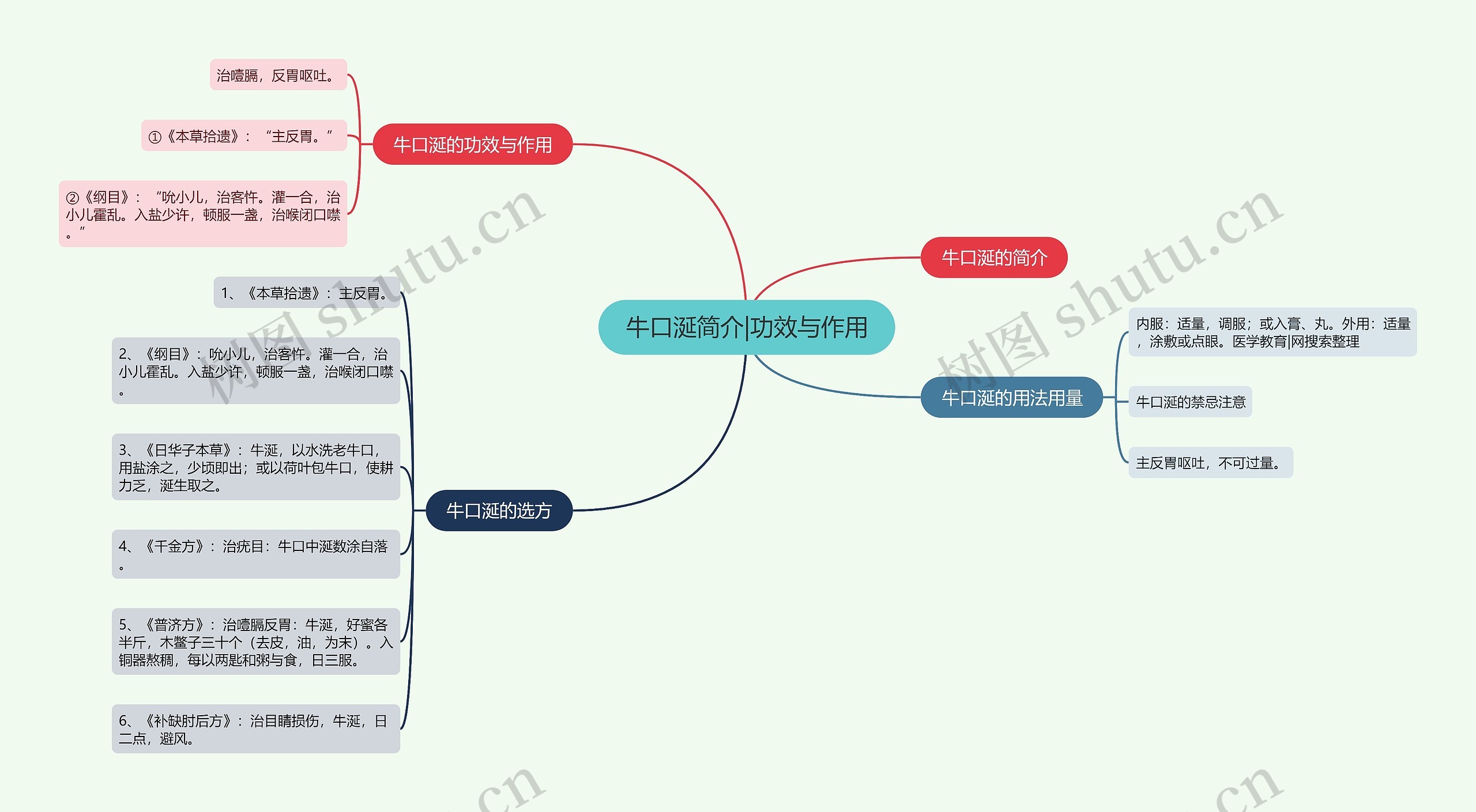 牛口涎简介|功效与作用思维导图