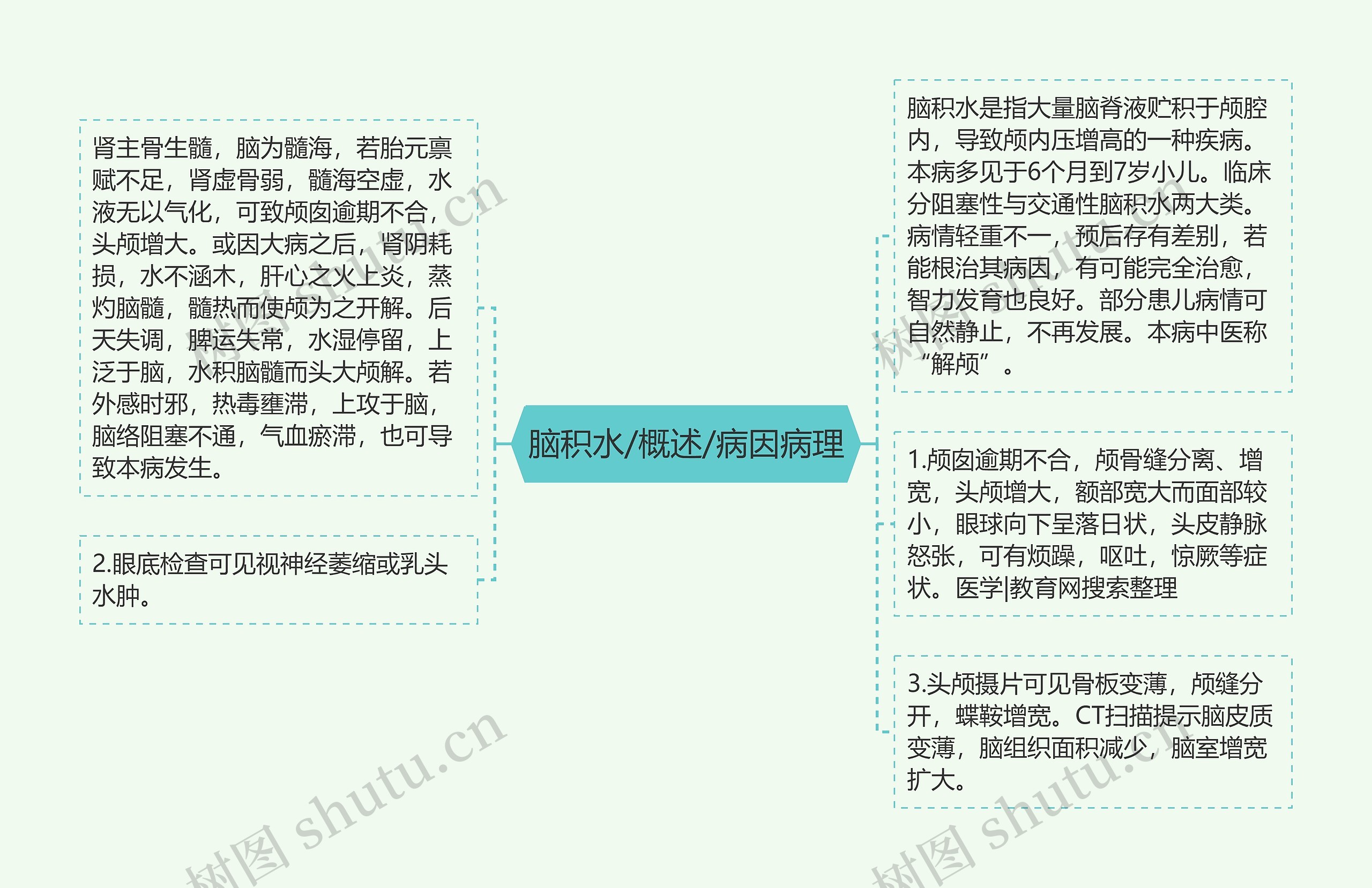 脑积水/概述/病因病理 脑积水/概述/病因病理