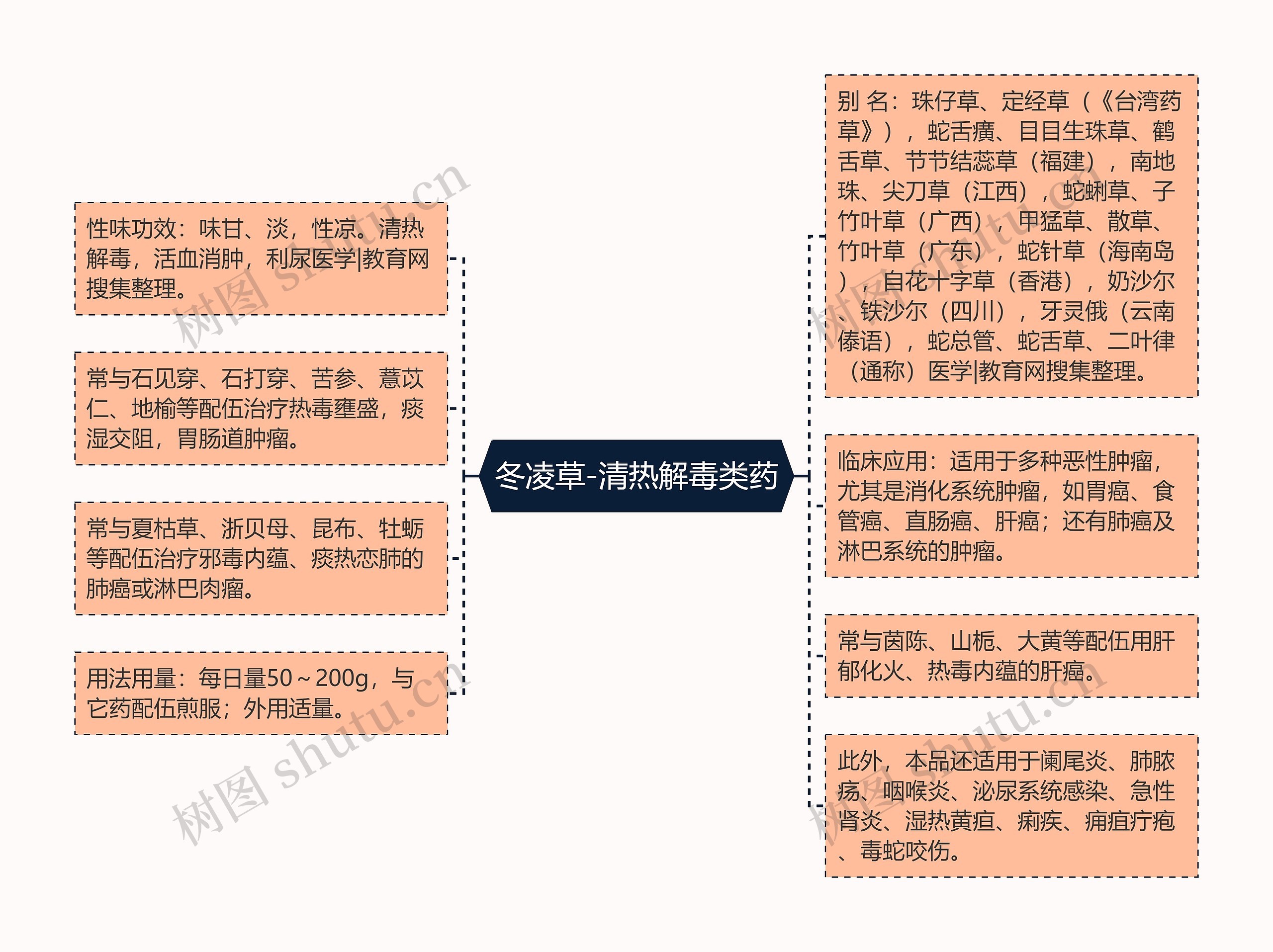 冬凌草-清热解毒类药思维导图