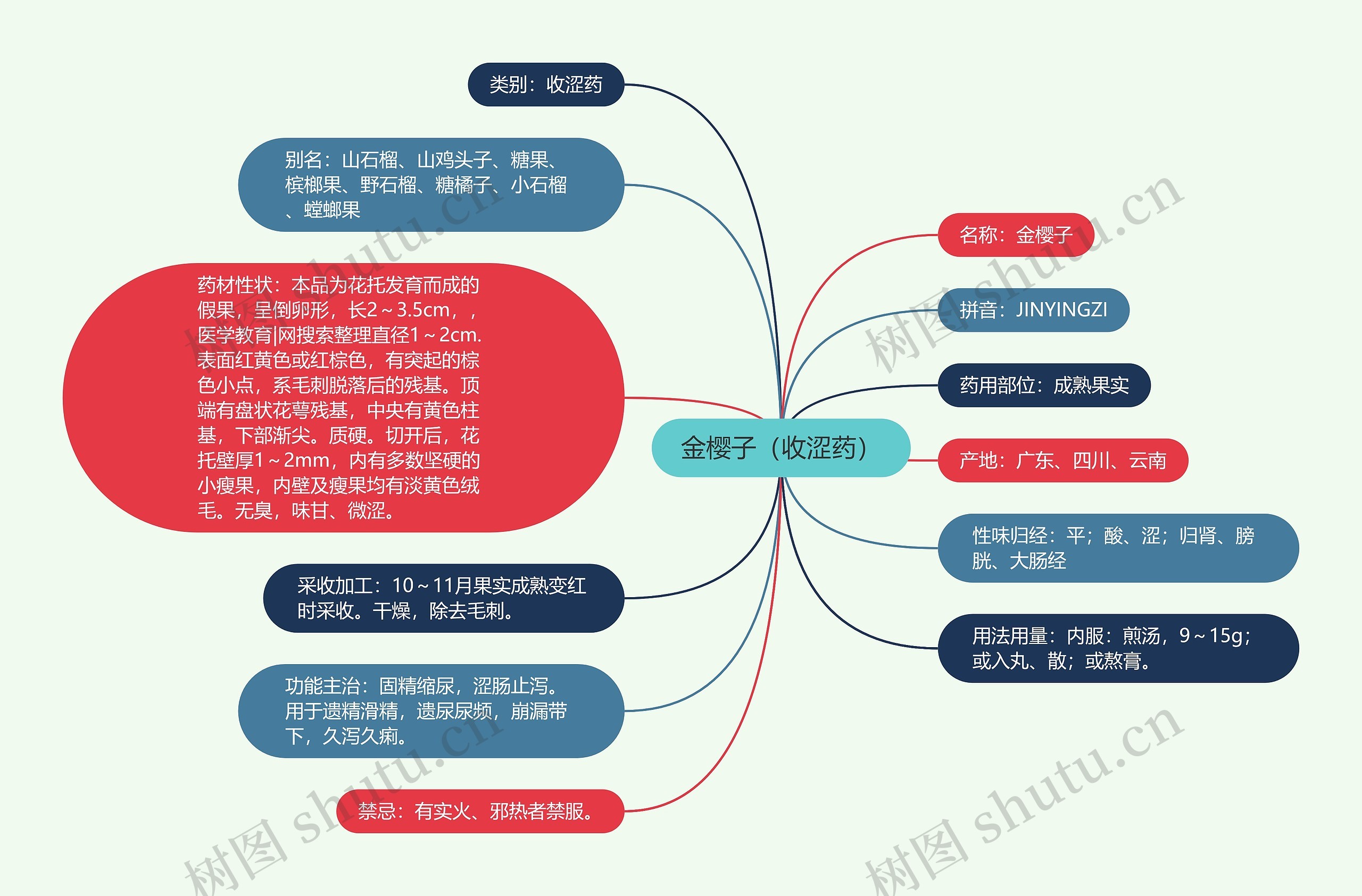 金樱子(收涩药) 金樱子(收涩药)