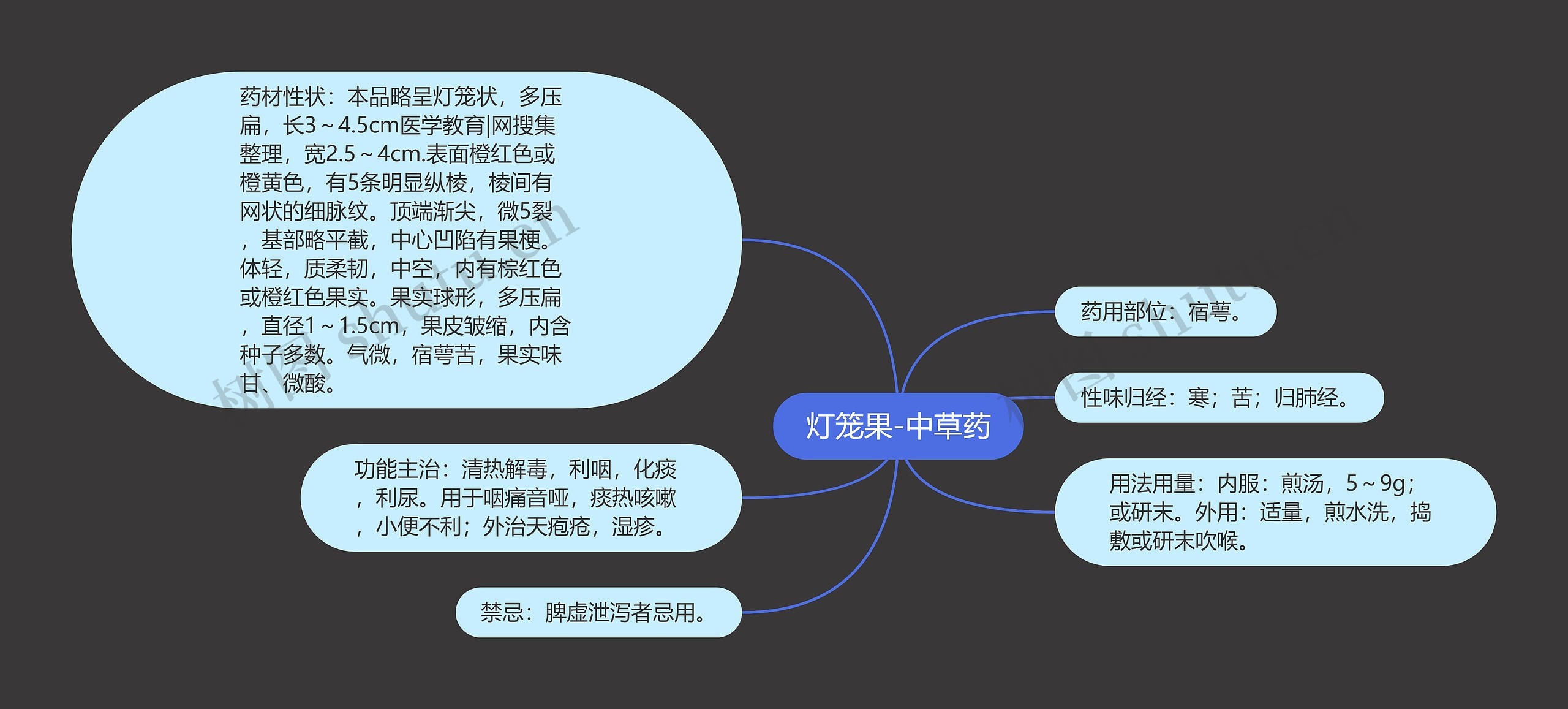 灯笼果-中草药思维导图