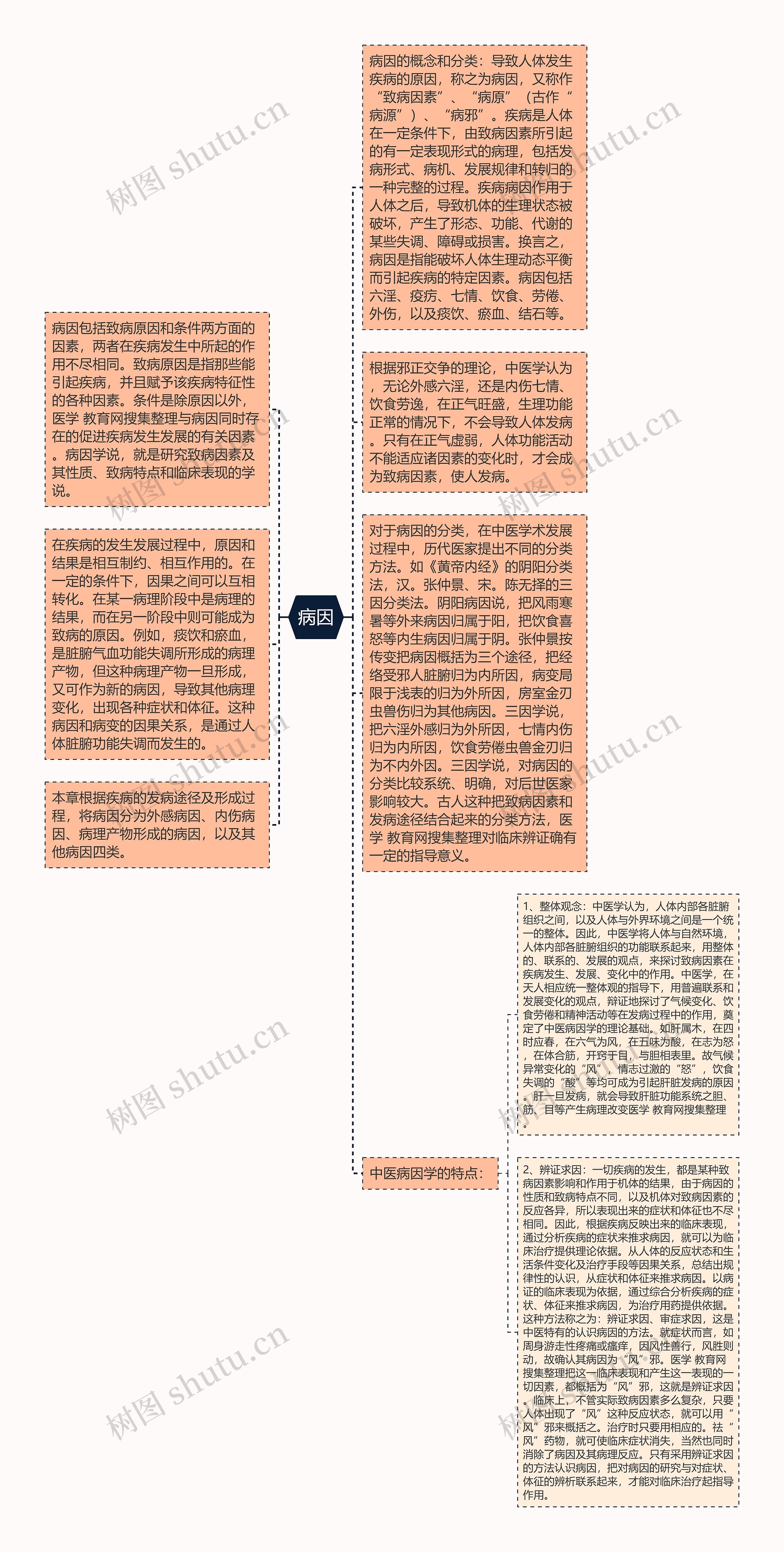 病因思维导图