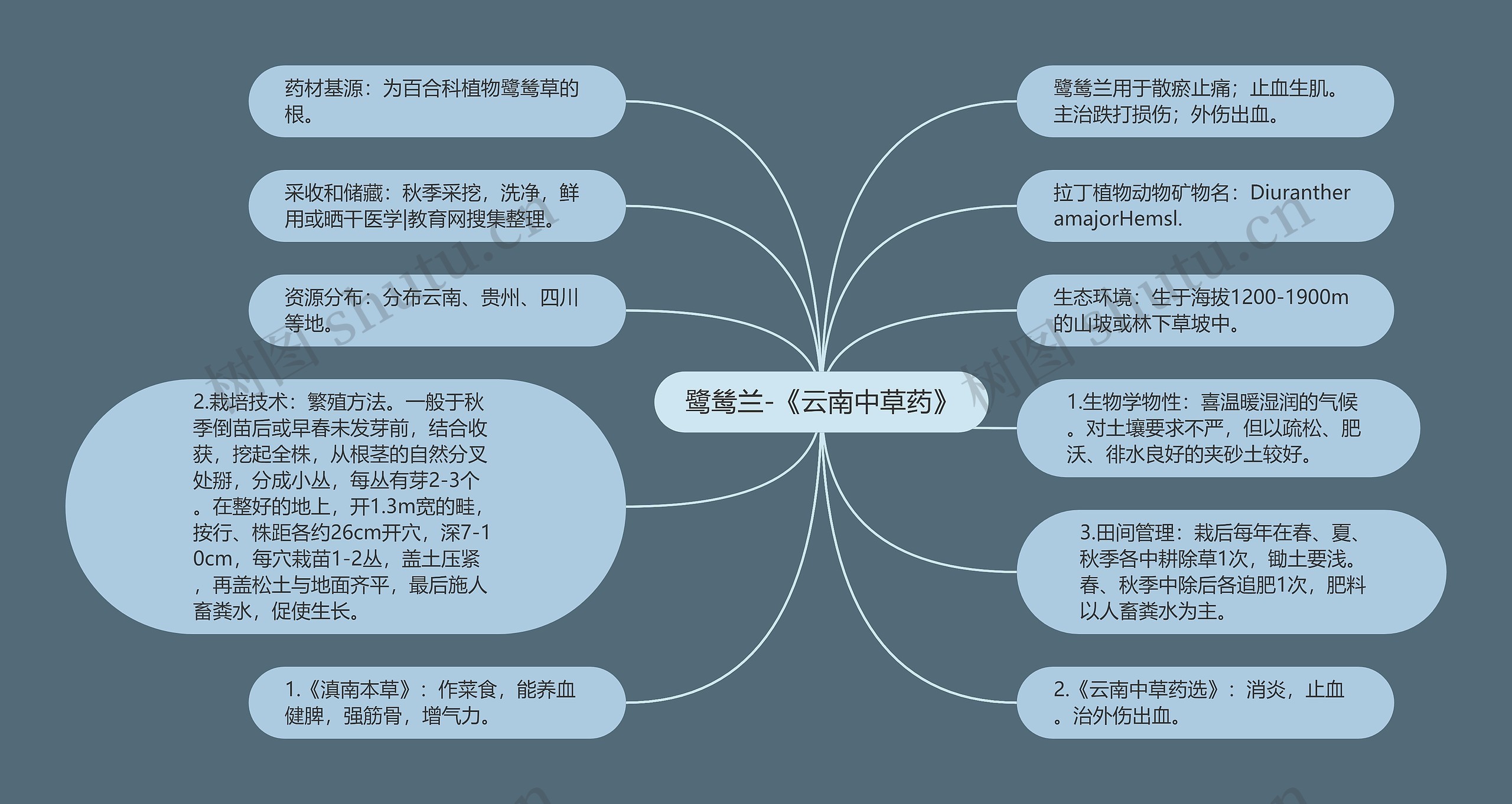 鹭鸶兰-《云南中草药》思维导图