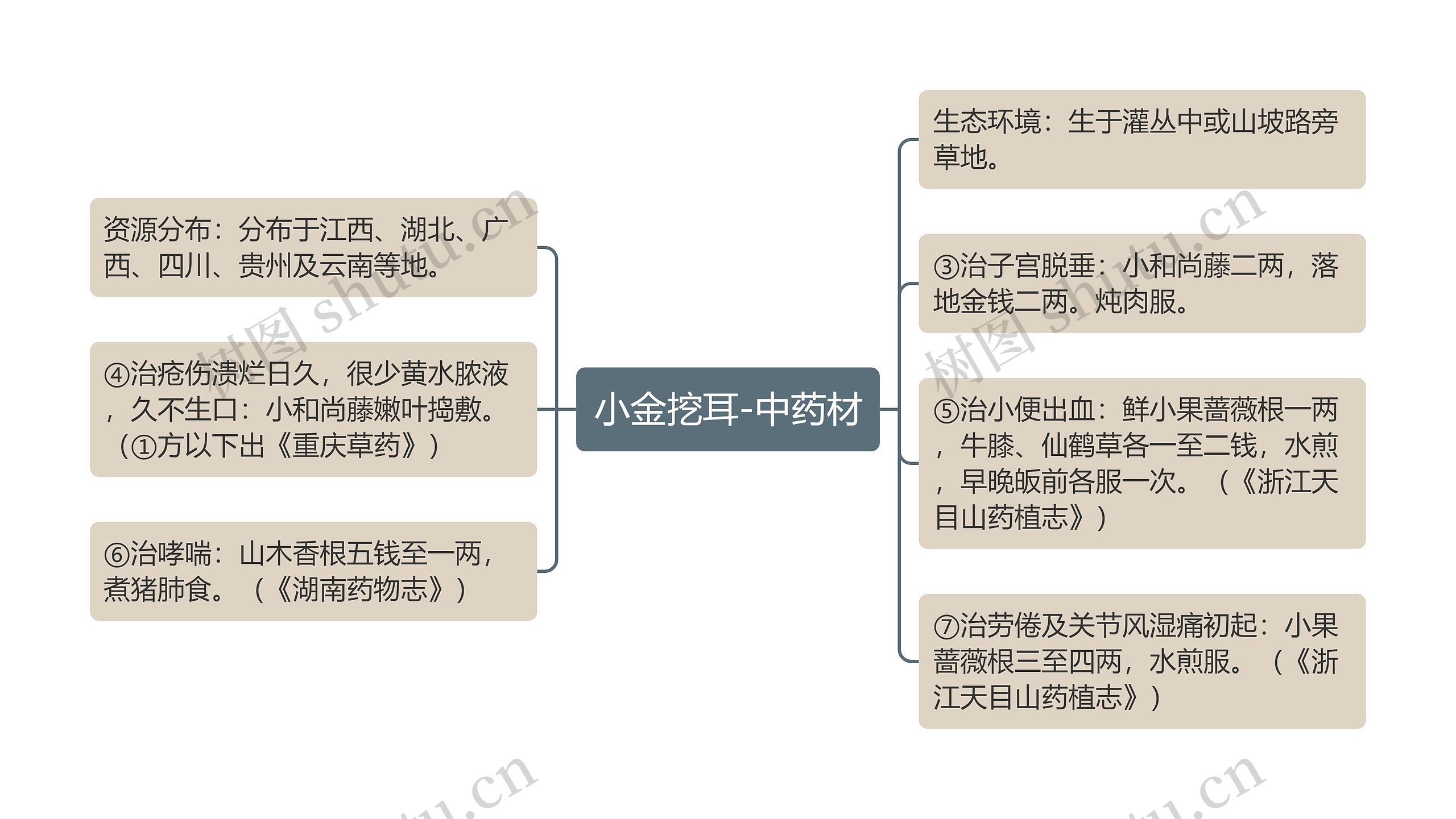 小金挖耳-中药材思维导图