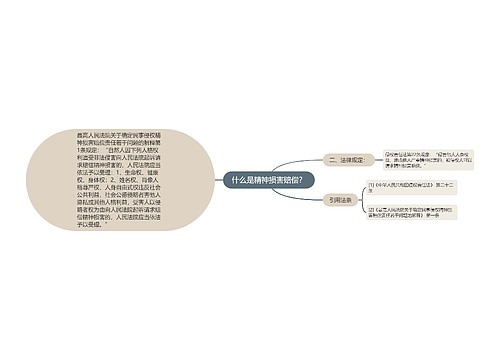 什么是精神损害赔偿？