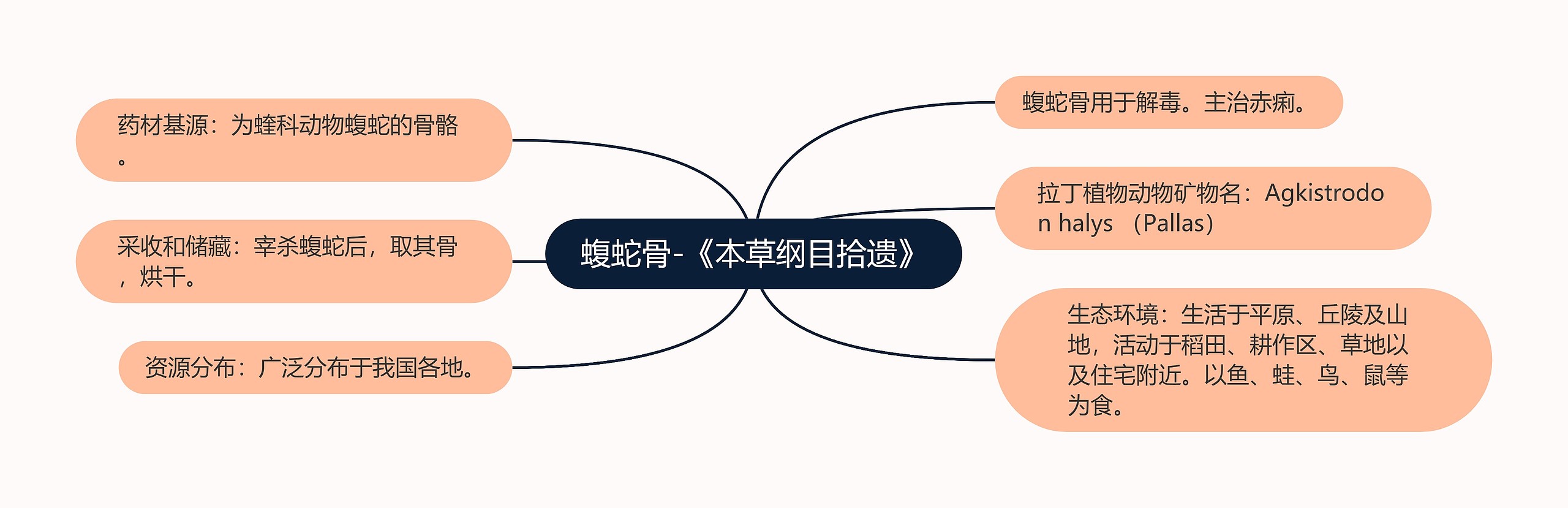 蝮蛇骨-《本草纲目拾遗》思维导图