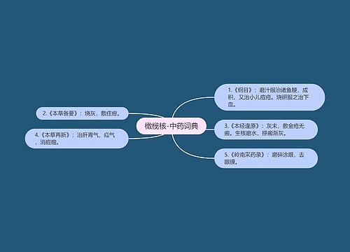 橄榄核-中药词典