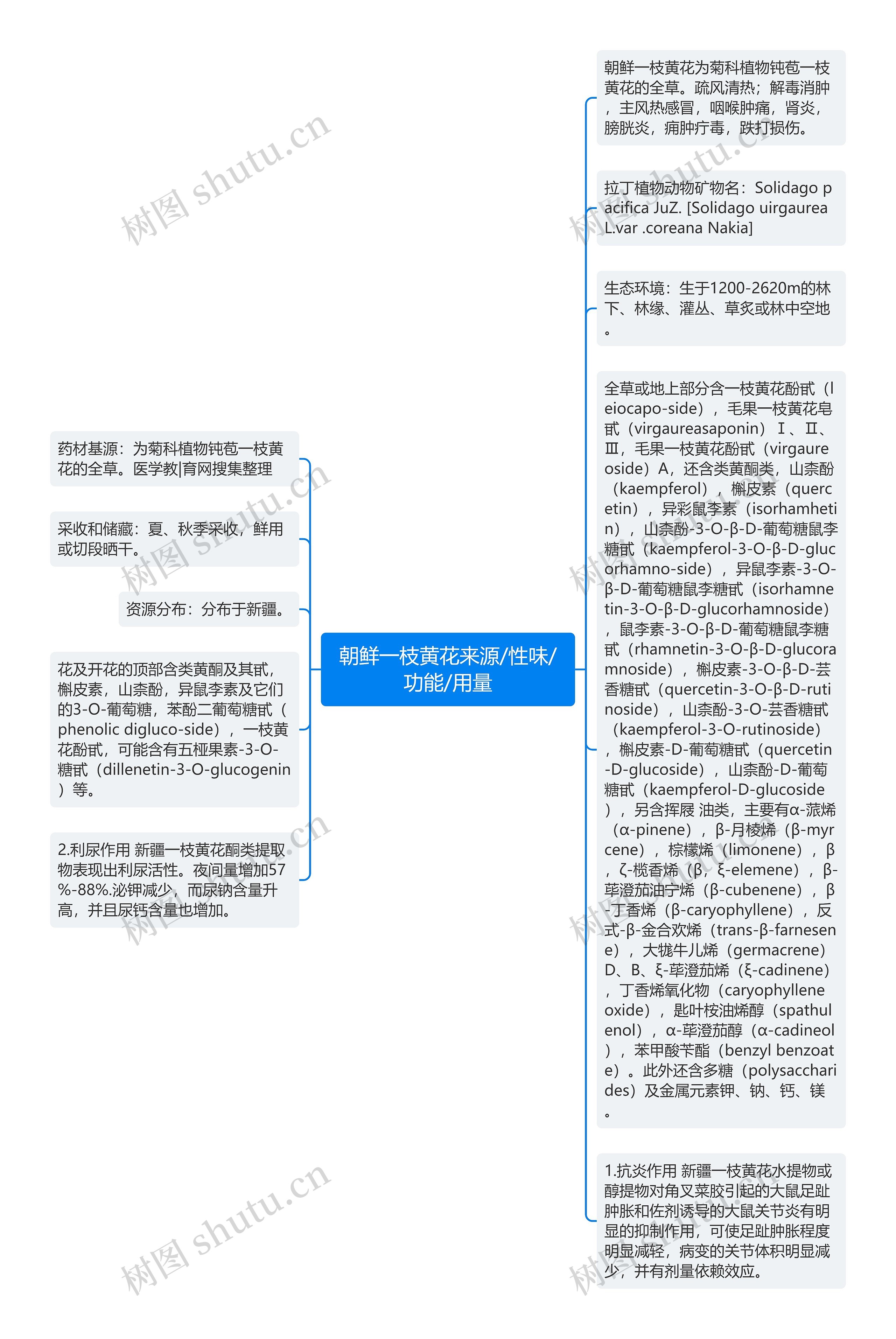 朝鲜一枝黄花来源/性味/功能/用量思维导图