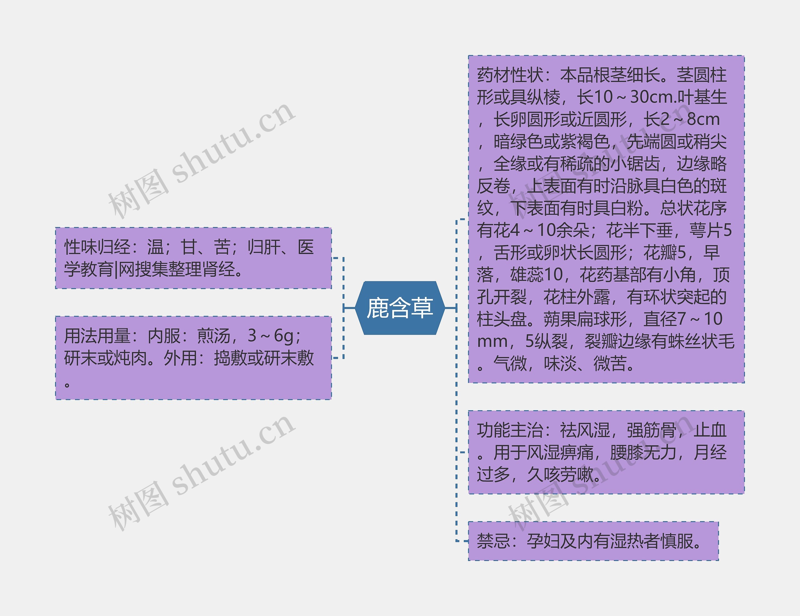 鹿含草思维导图