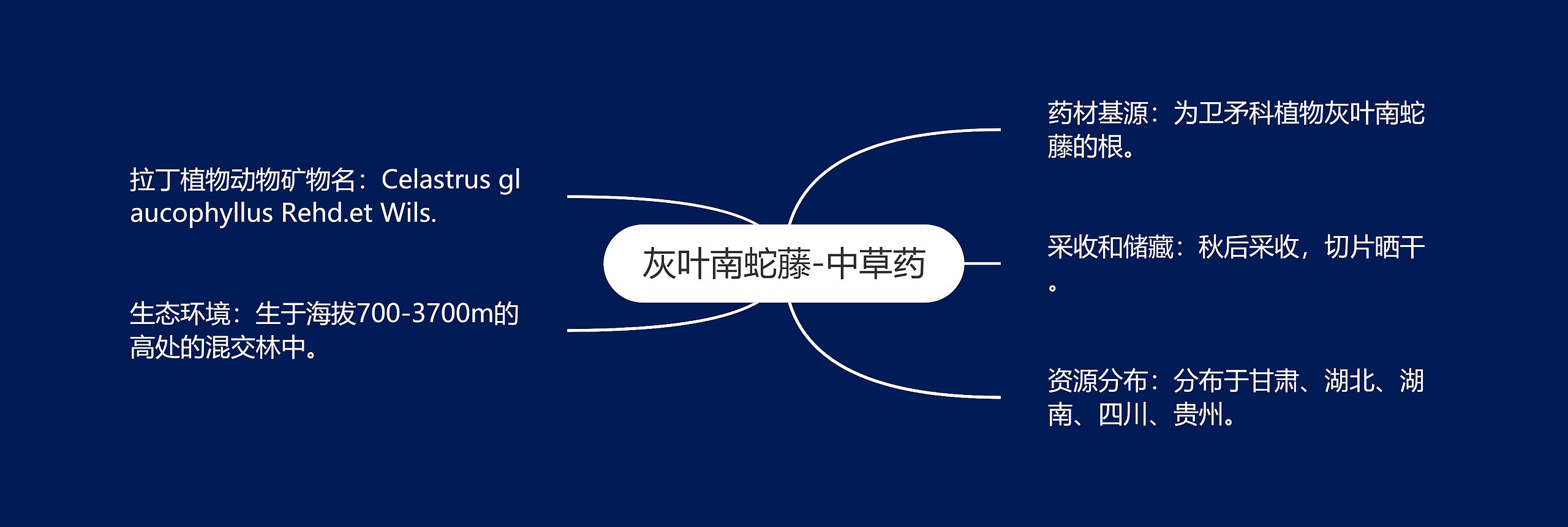 灰叶南蛇藤-中草药 灰叶南蛇藤-中草药