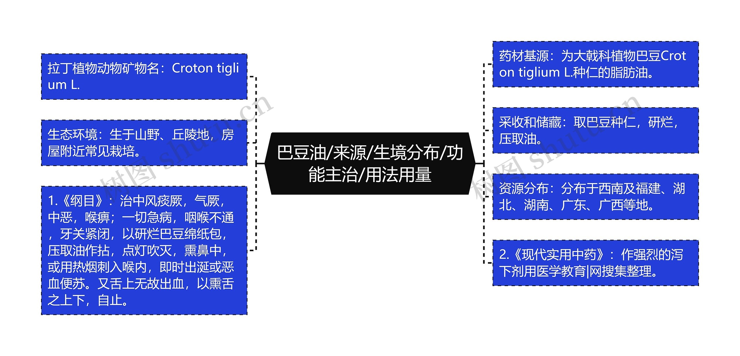 巴豆油/来源/生境分布/功能主治/用法用量思维导图