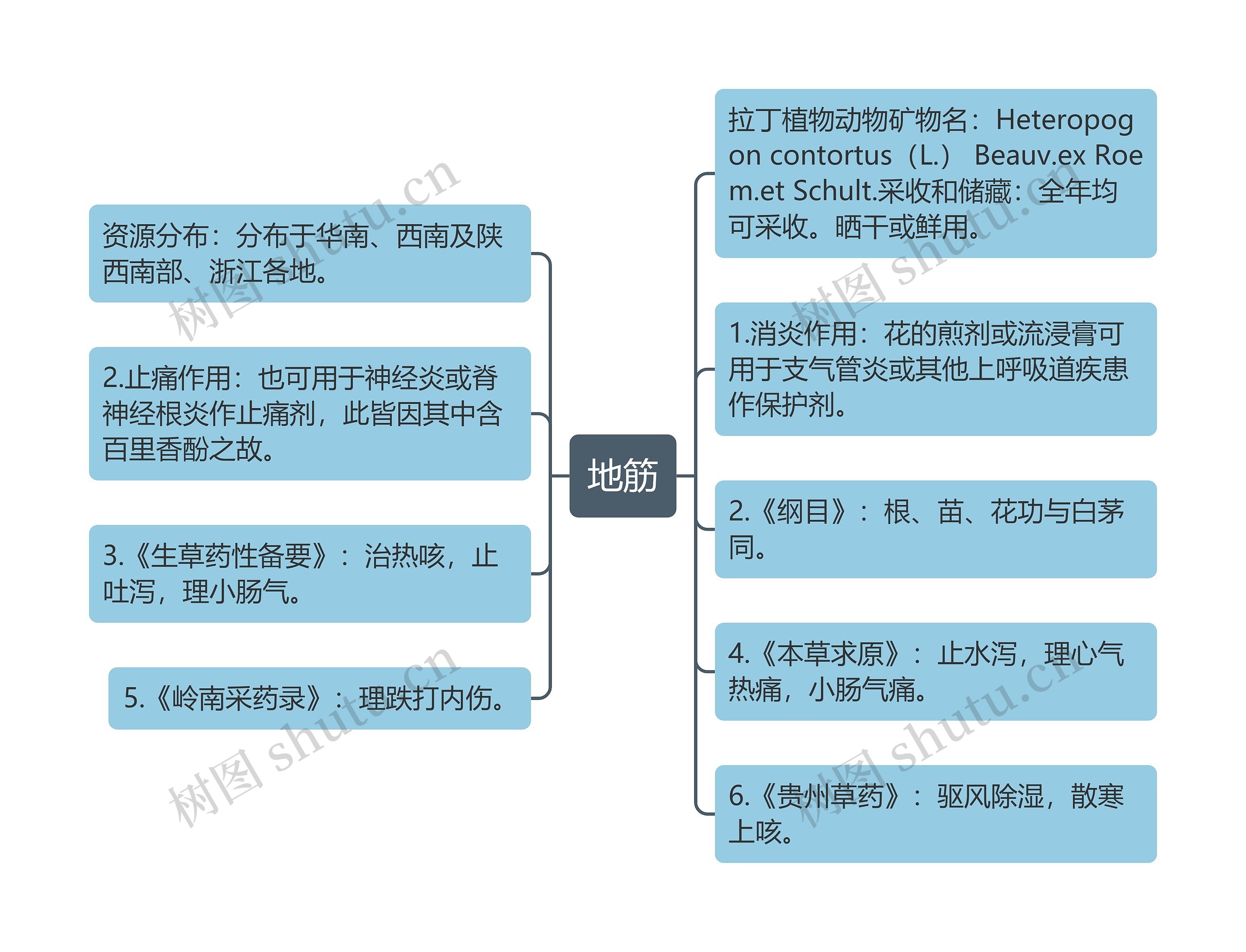 地筋思维导图