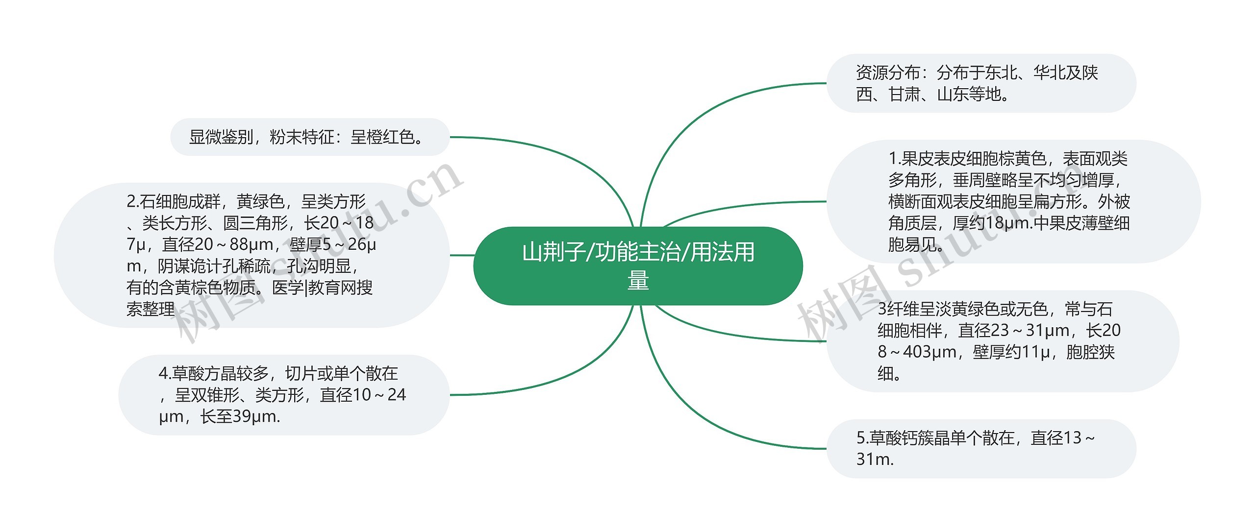 山荆子/功能主治/用法用量