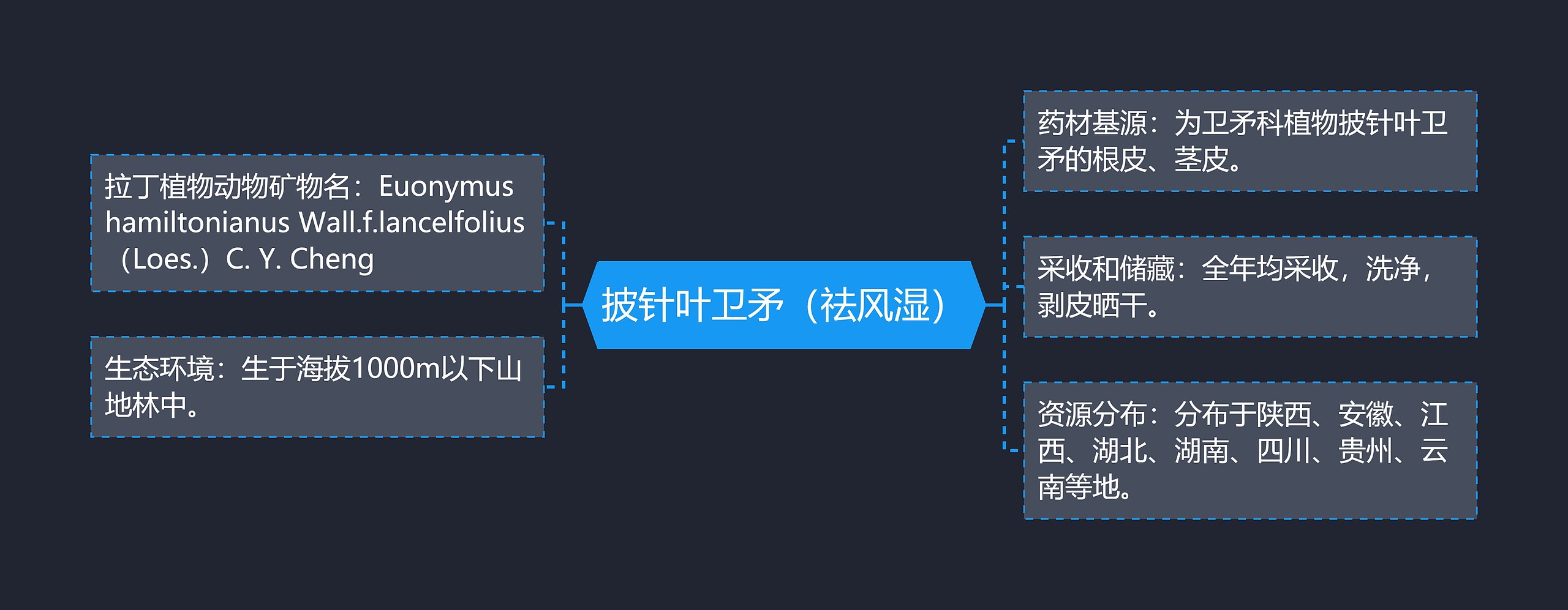 披针叶卫矛（祛风湿）思维导图