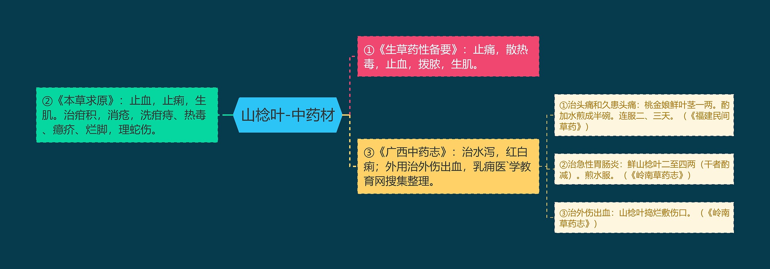 山棯叶-中药材思维导图
