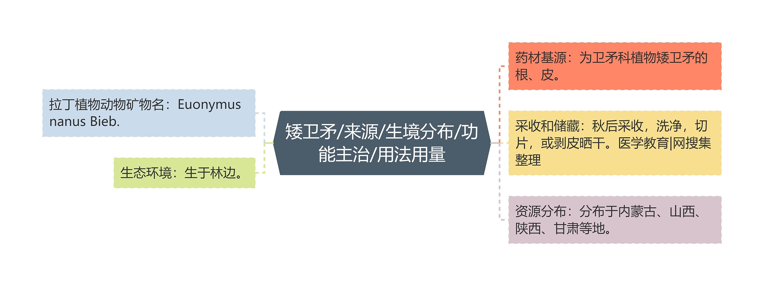 矮卫矛/来源/生境分布/功能主治/用法用量