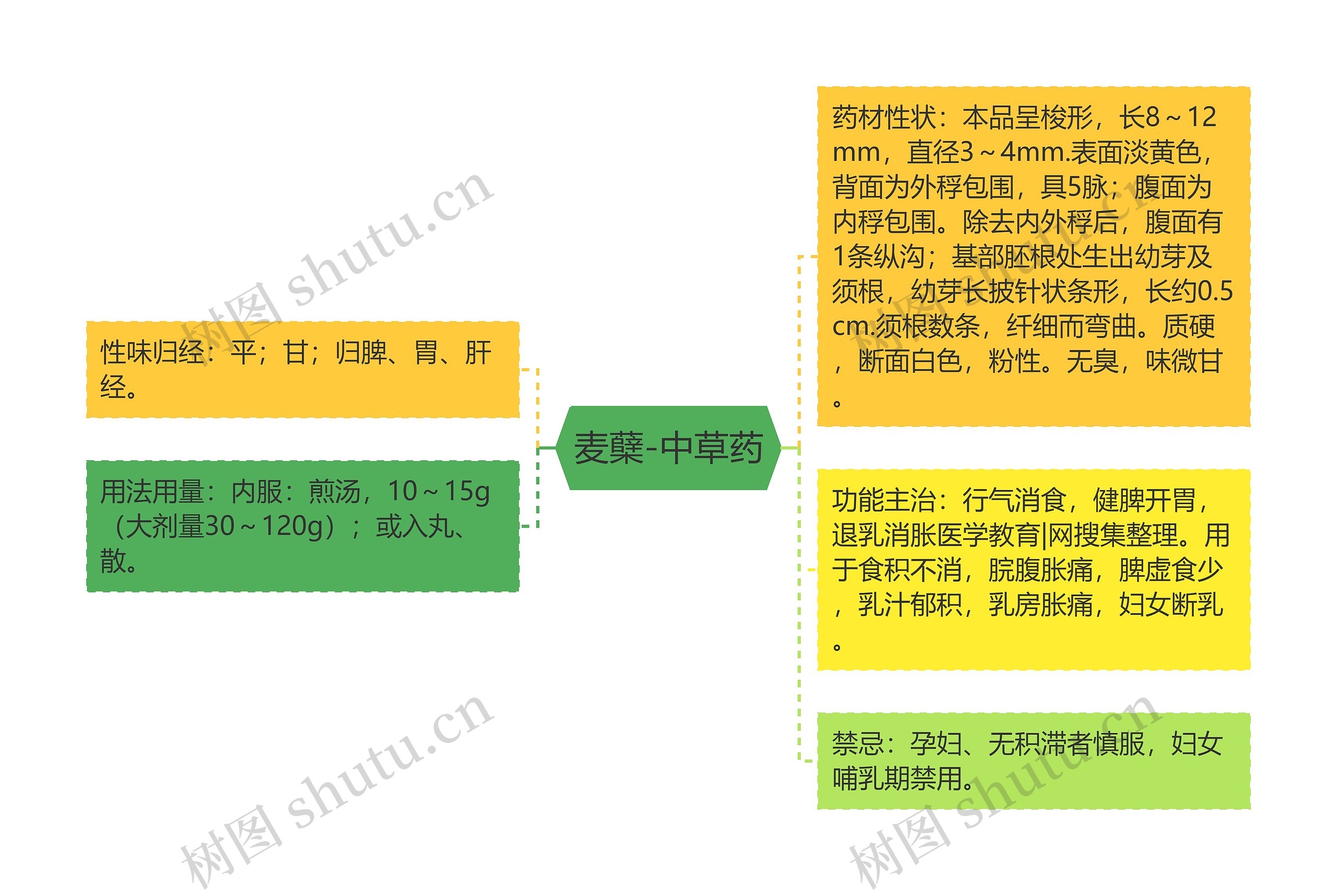 麦蘖-中草药 麦蘖-中草药