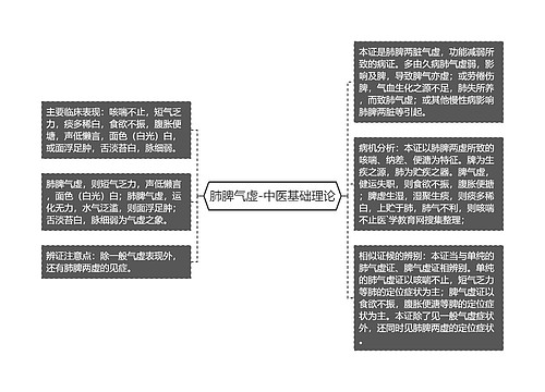 肺脾气虚-中医基础理论