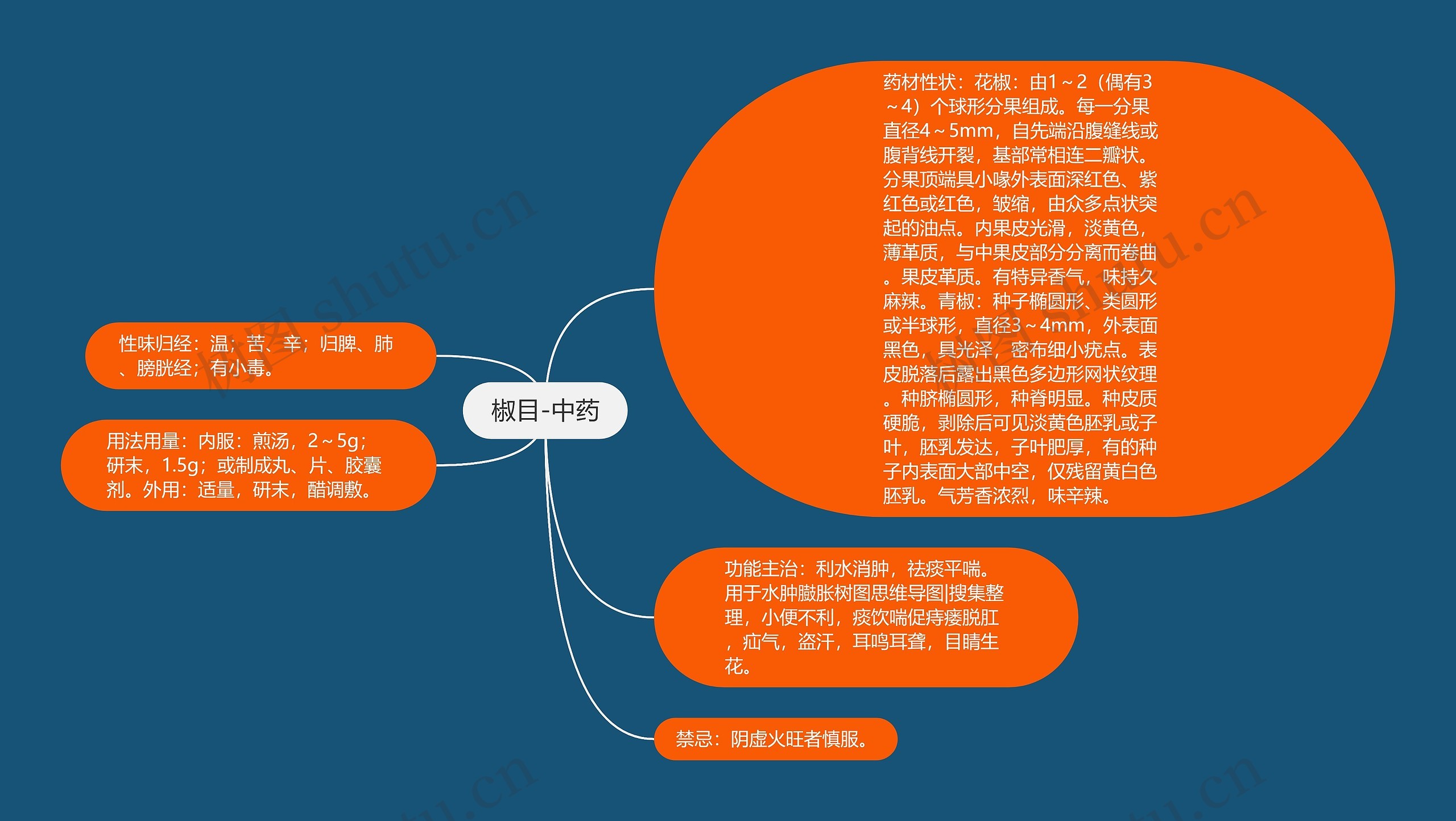 椒目-中药 椒目-中药