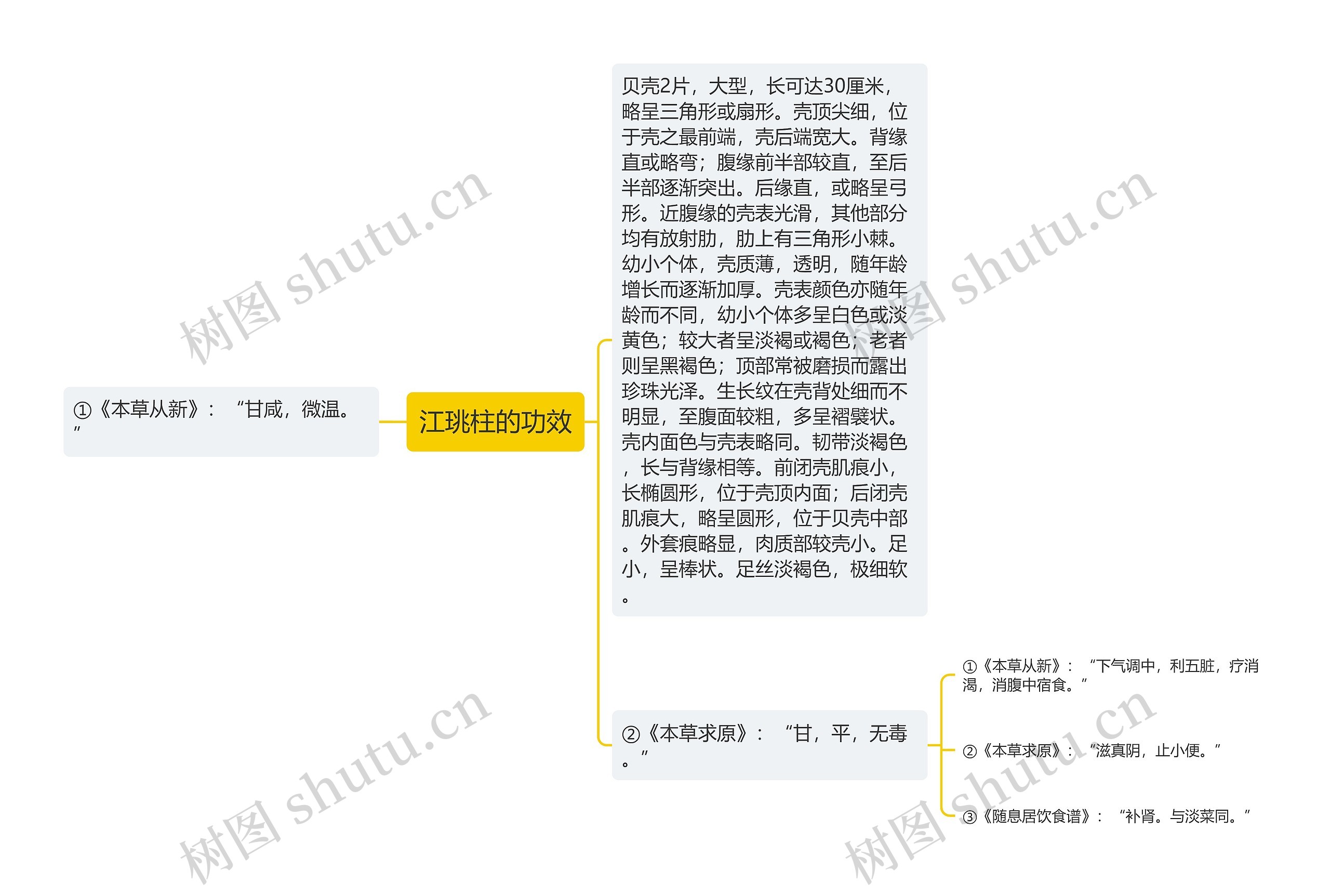 江珧柱的功效思维导图