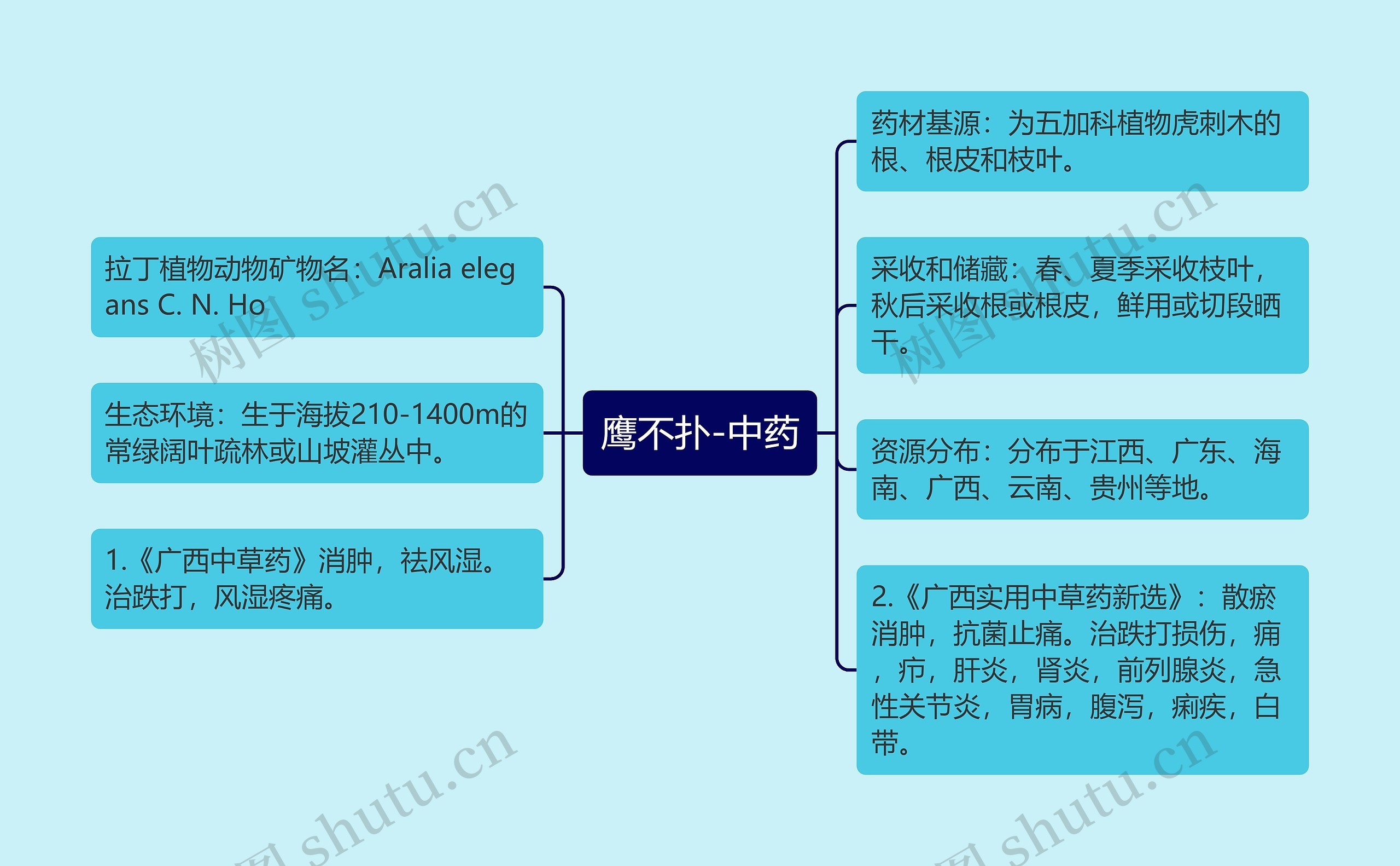 鹰不扑-中药思维导图