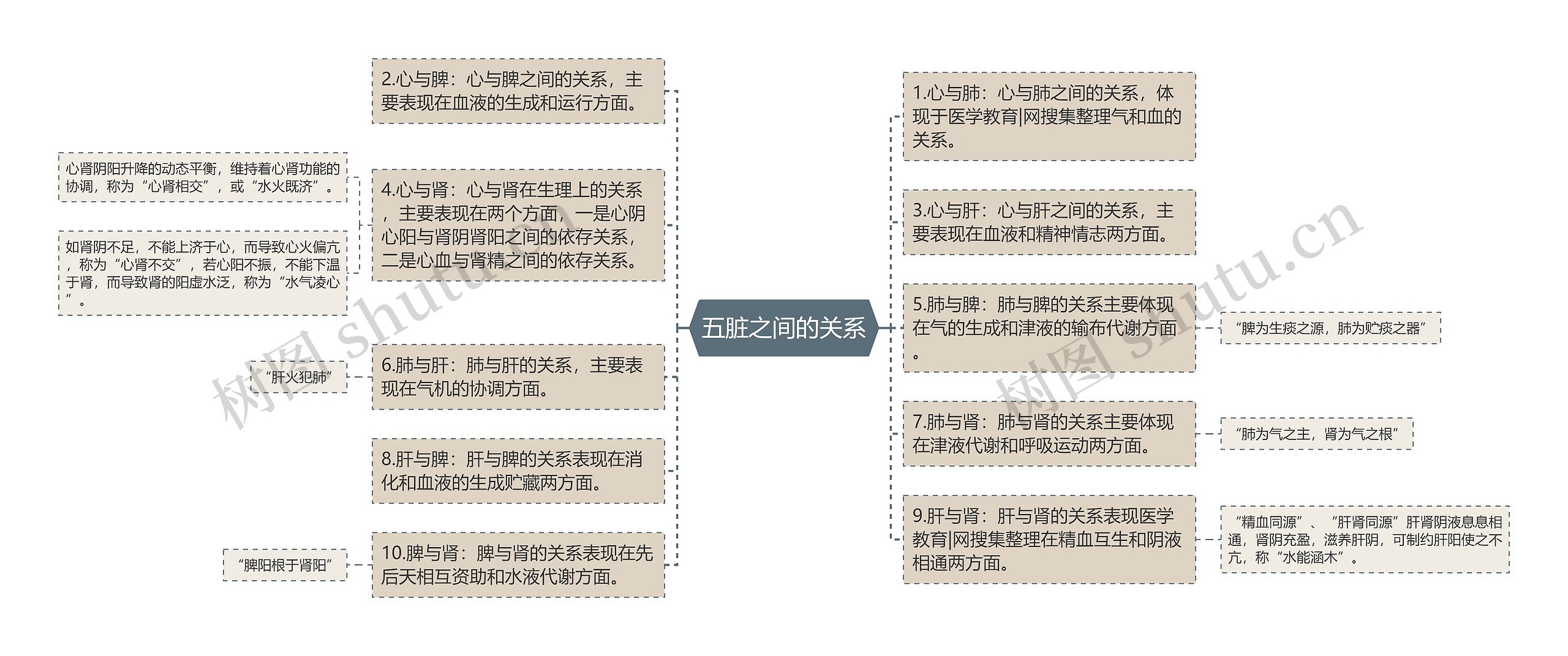 五脏之间的关系