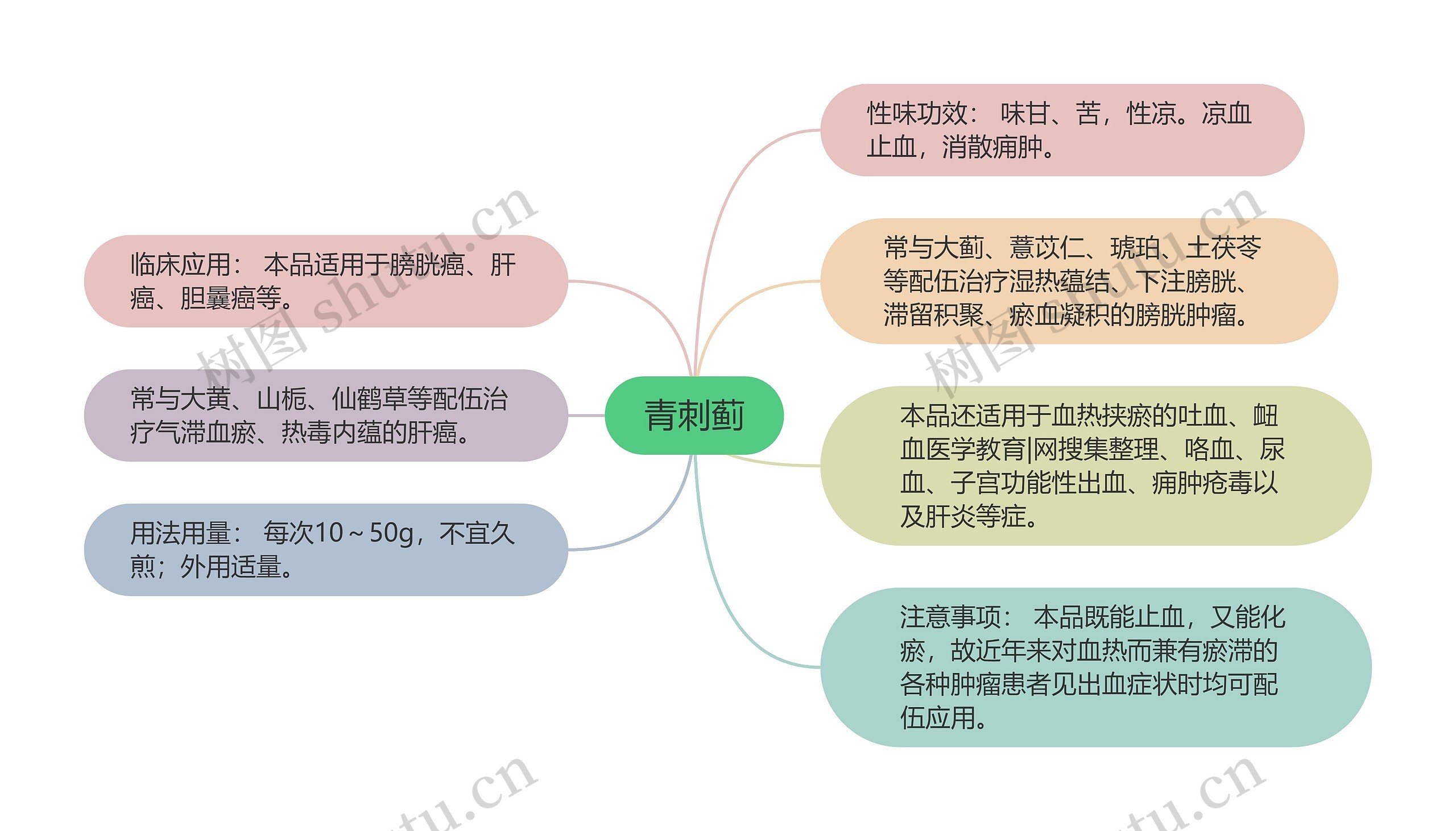 青刺蓟思维导图