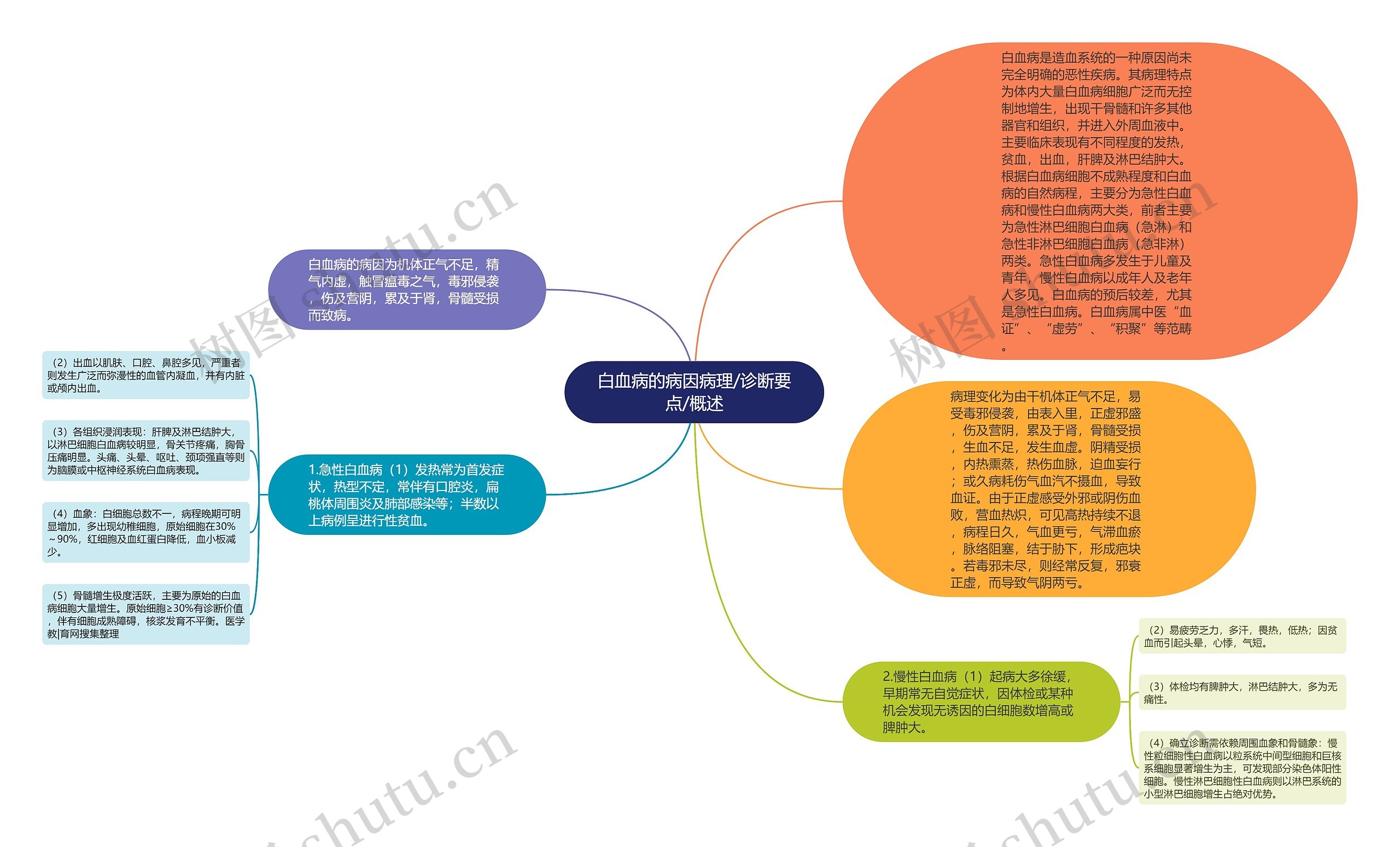 白血病的病因病理/诊断要点/概述思维导图