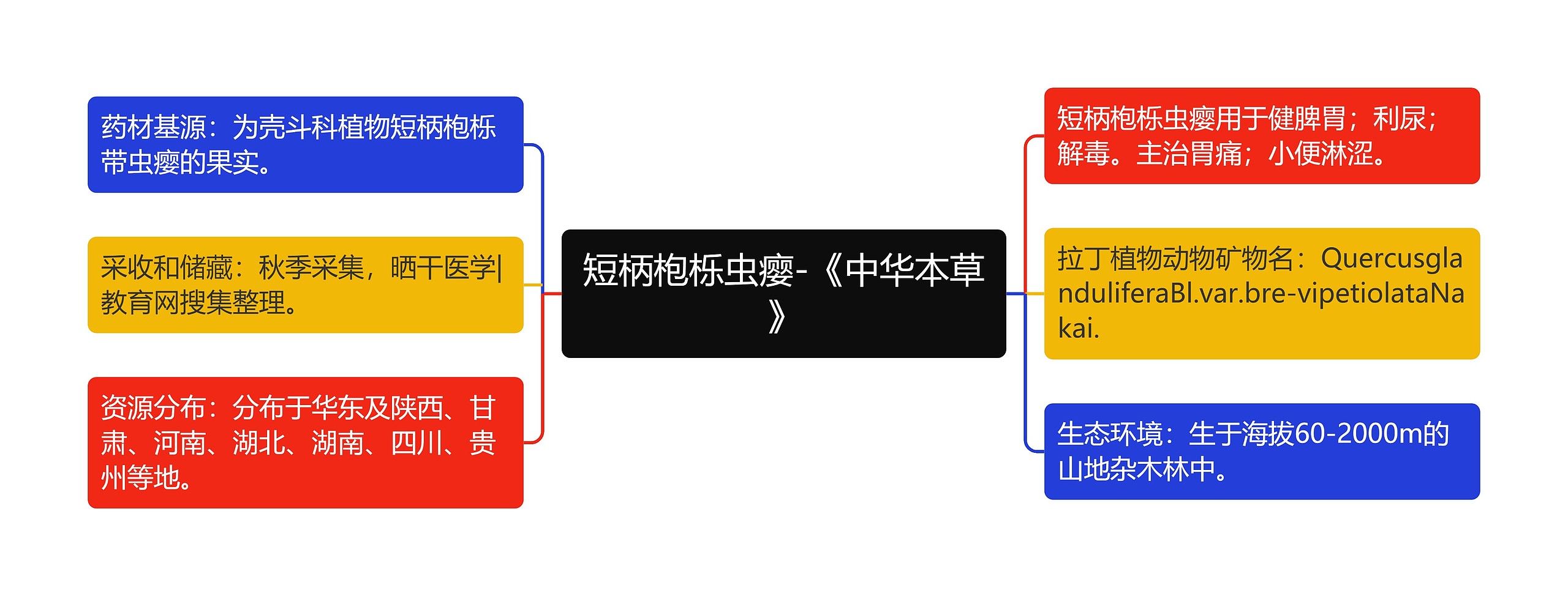 短柄枹栎虫瘿-《中华本草》思维导图