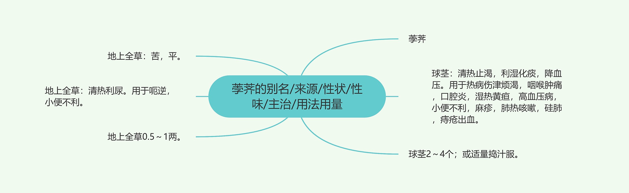 荸荠的别名/来源/性状/性味/主治/用法用量思维导图