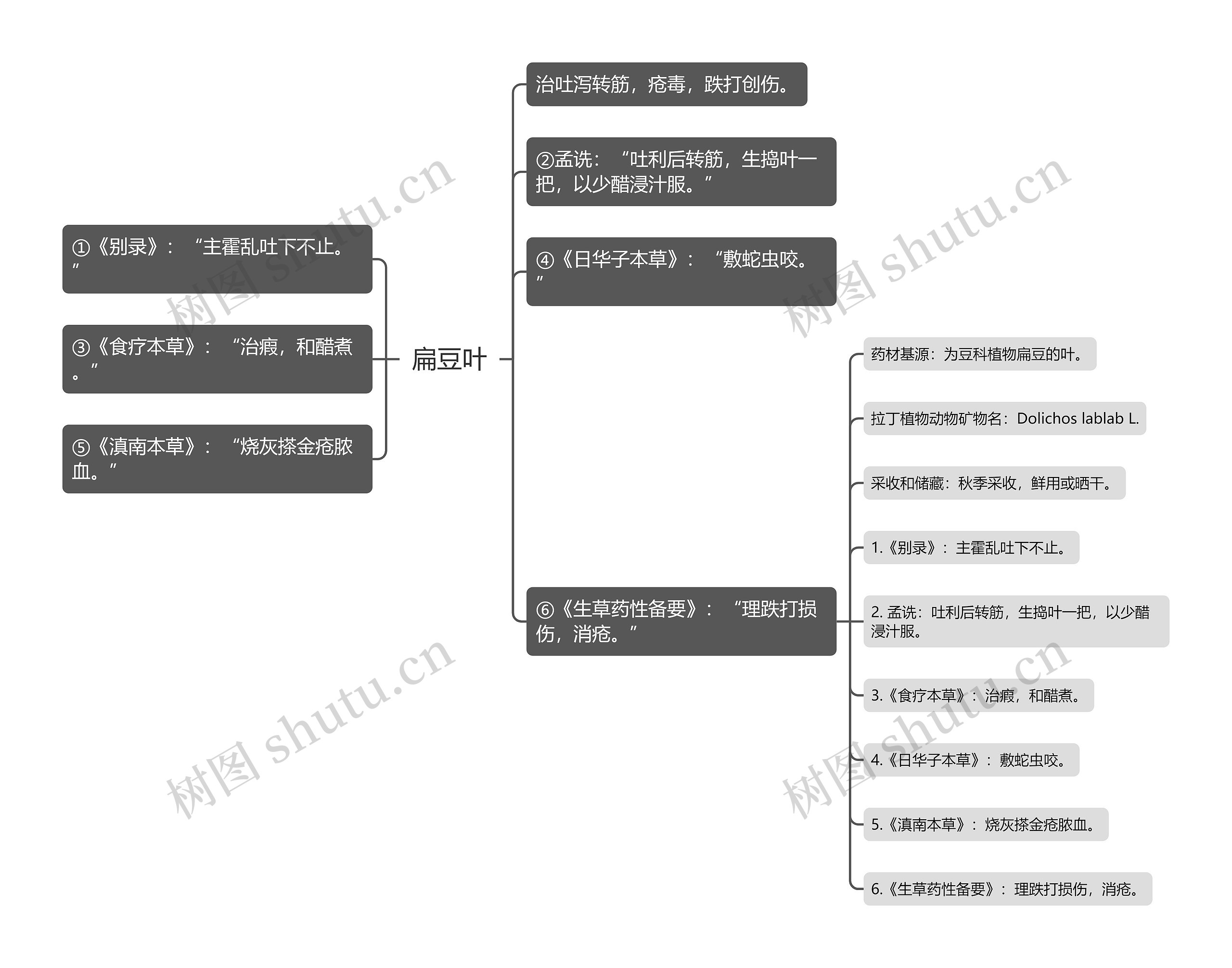 扁豆叶思维导图