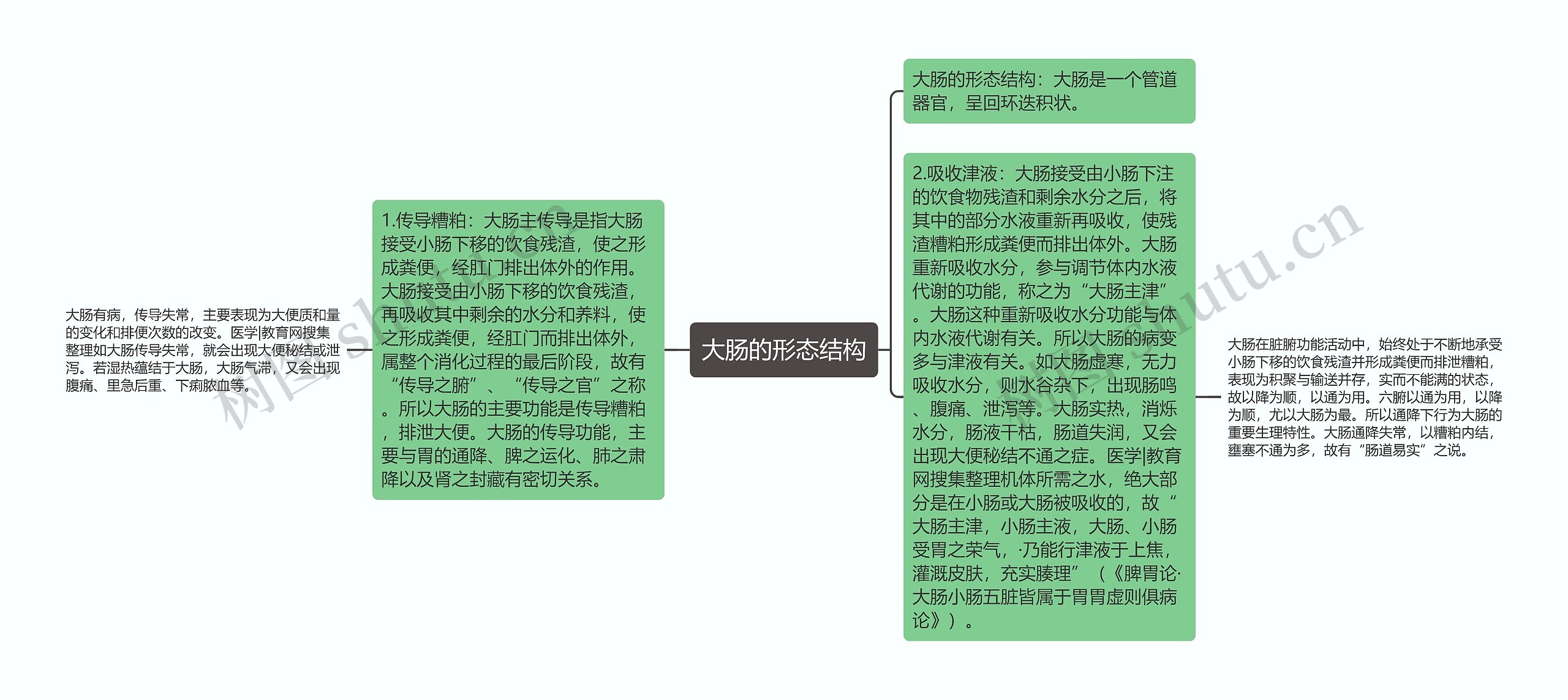 大肠的形态结构思维导图