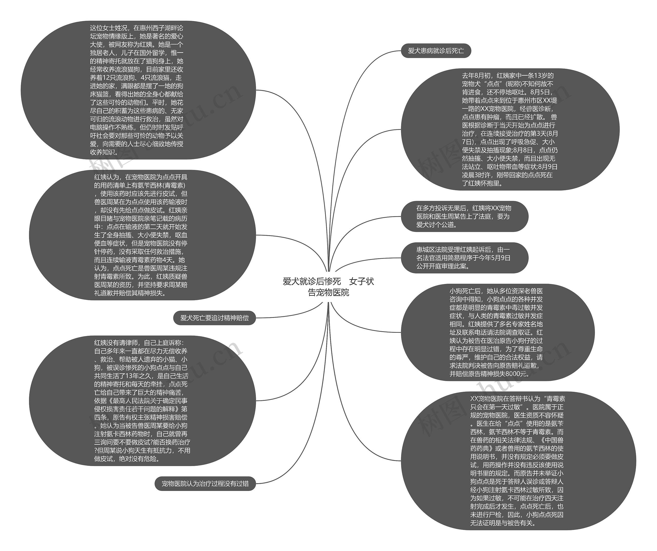 爱犬就诊后惨死　女子状告宠物医院思维导图