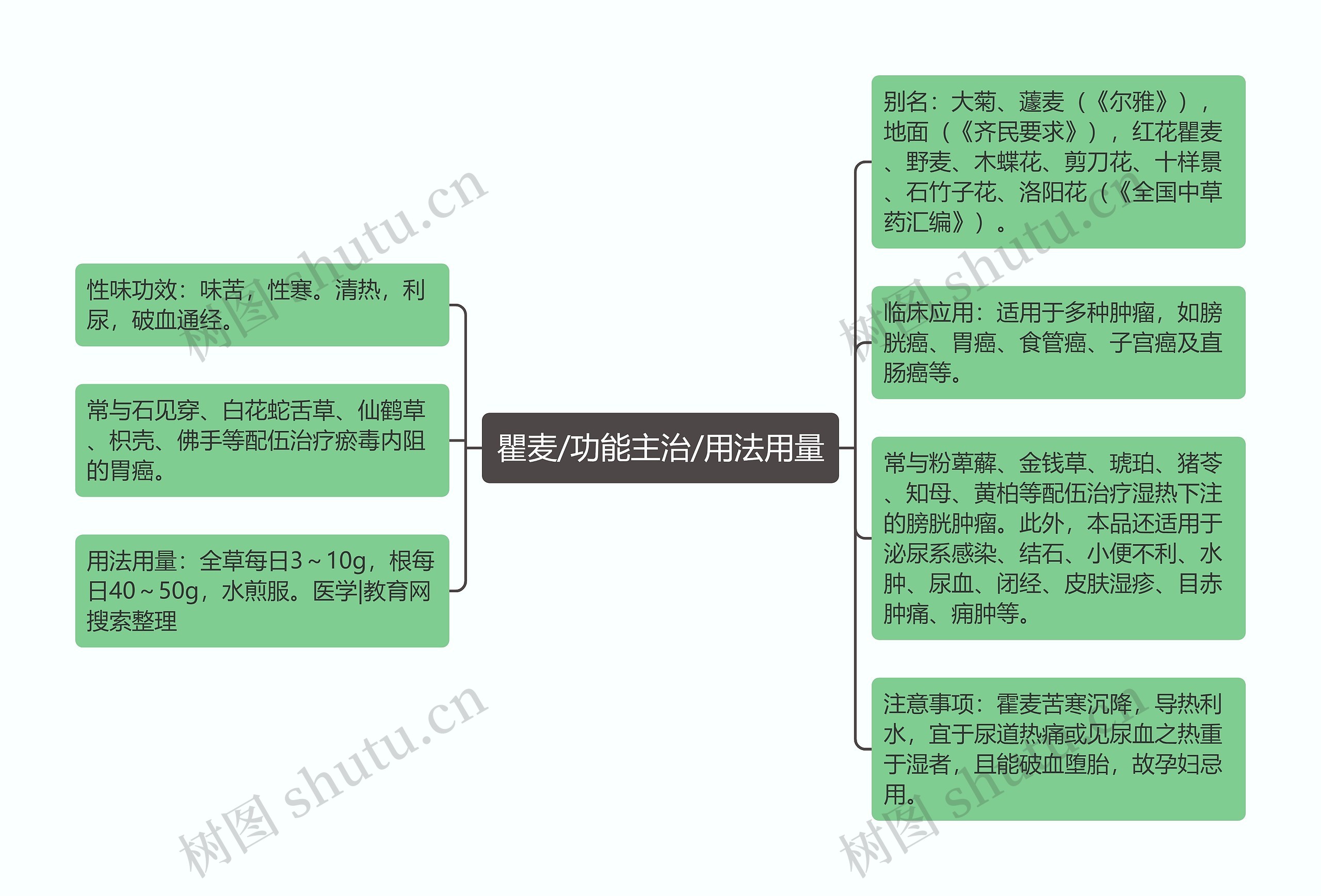 瞿麦/功能主治/用法用量思维导图