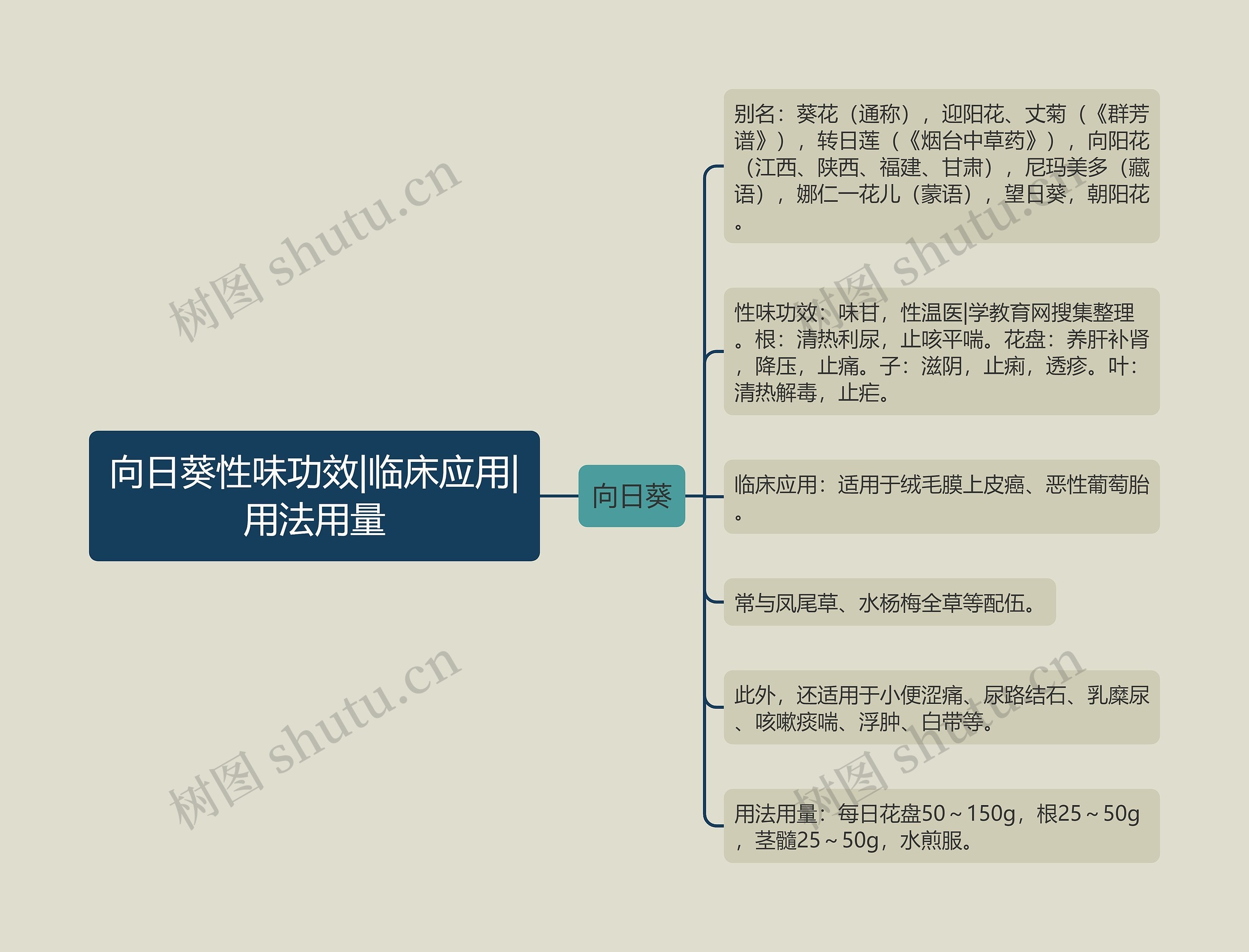 向日葵性味功效|临床应用|用法用量思维导图