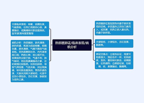 热邪壅肺证/临床表现/病机分析