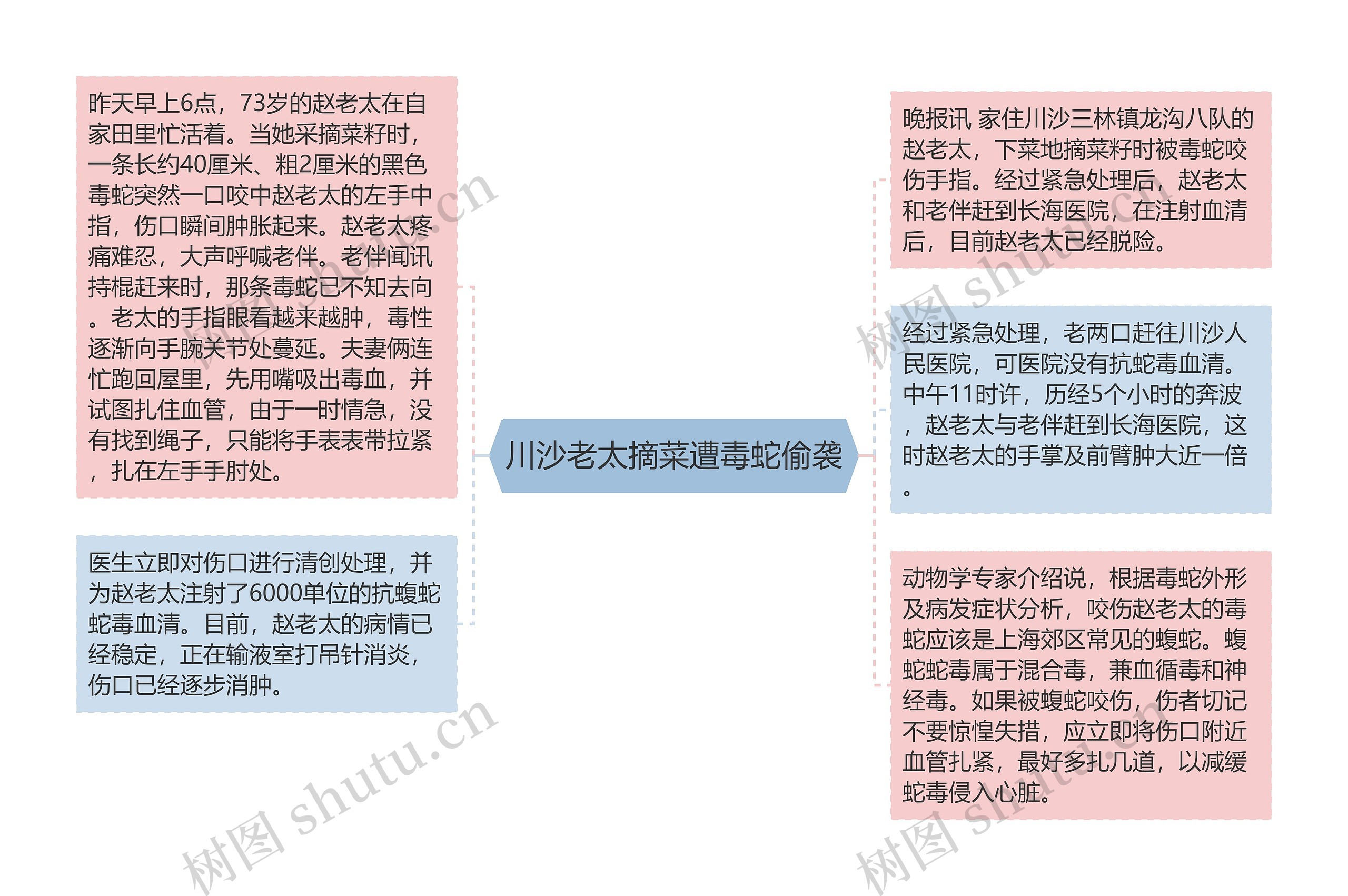 川沙老太摘菜遭毒蛇偷袭思维导图