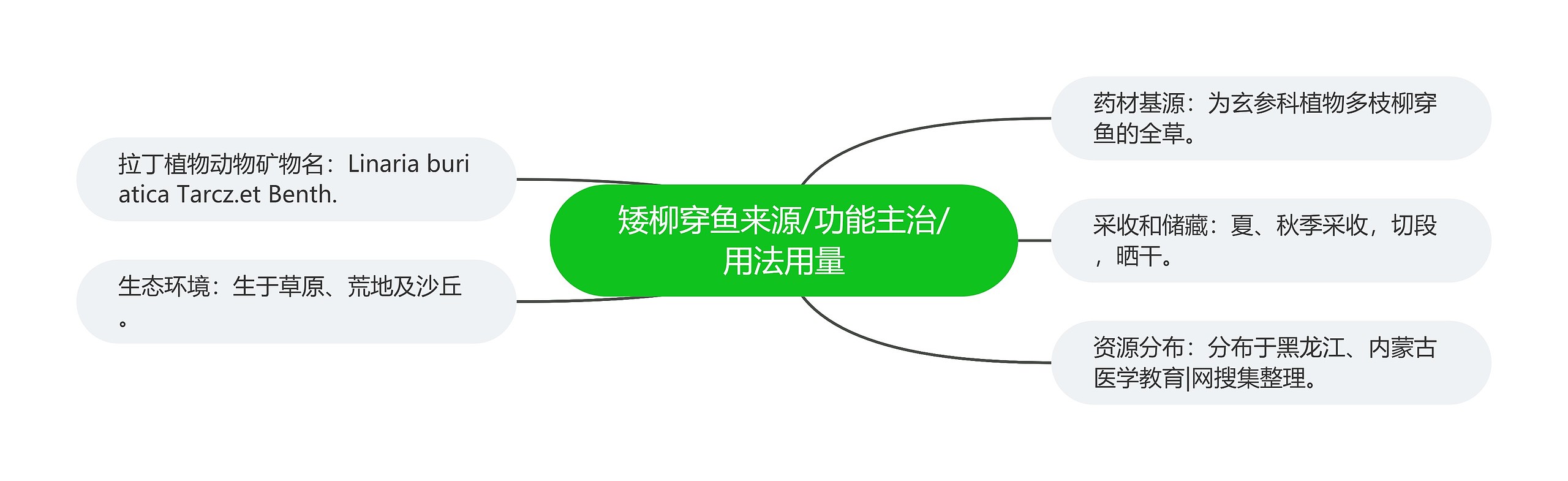 矮柳穿鱼来源/功能主治/用法用量 矮柳穿鱼来源/功能主治/用法用量