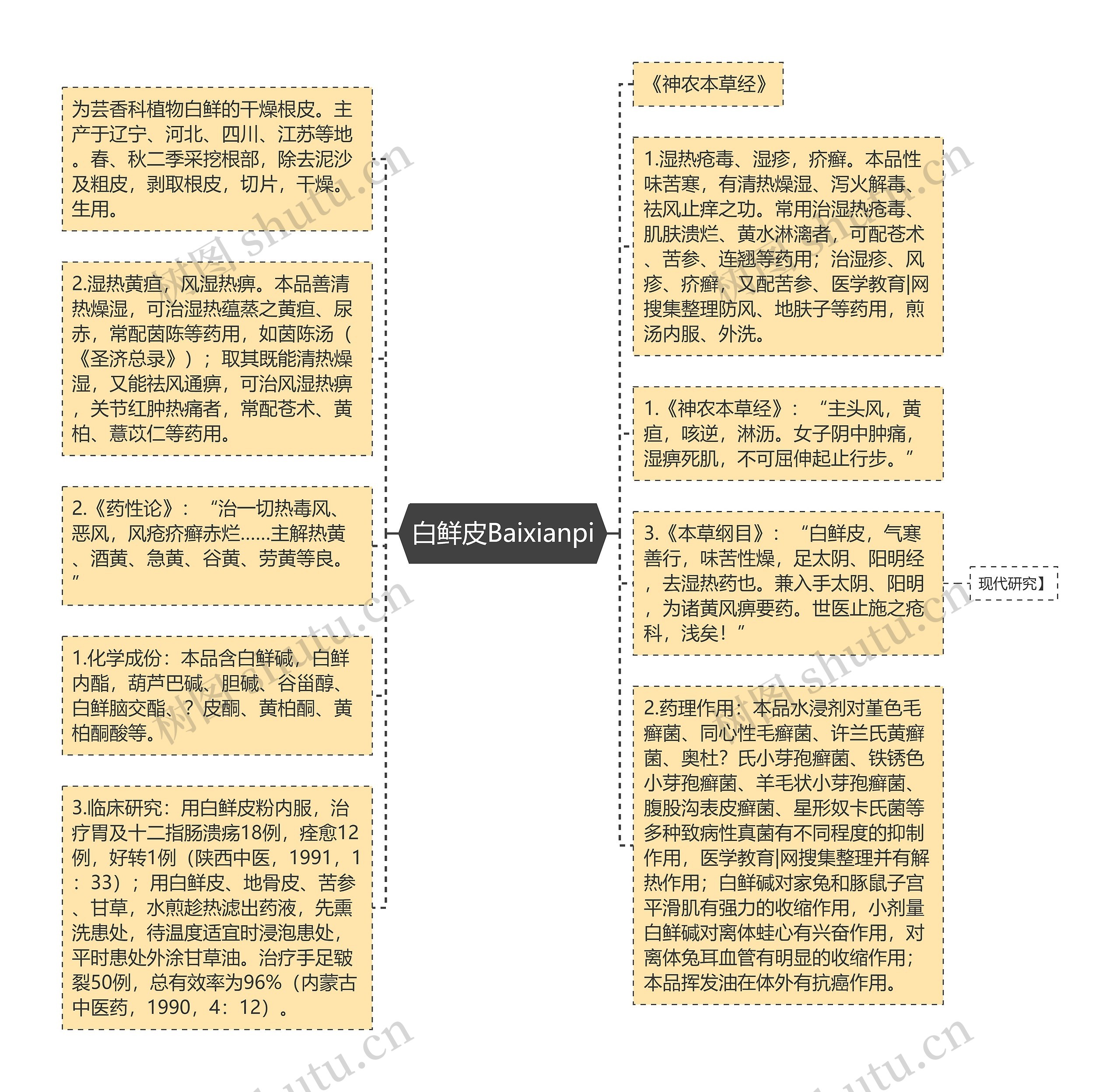 白鲜皮Baixianpi思维导图