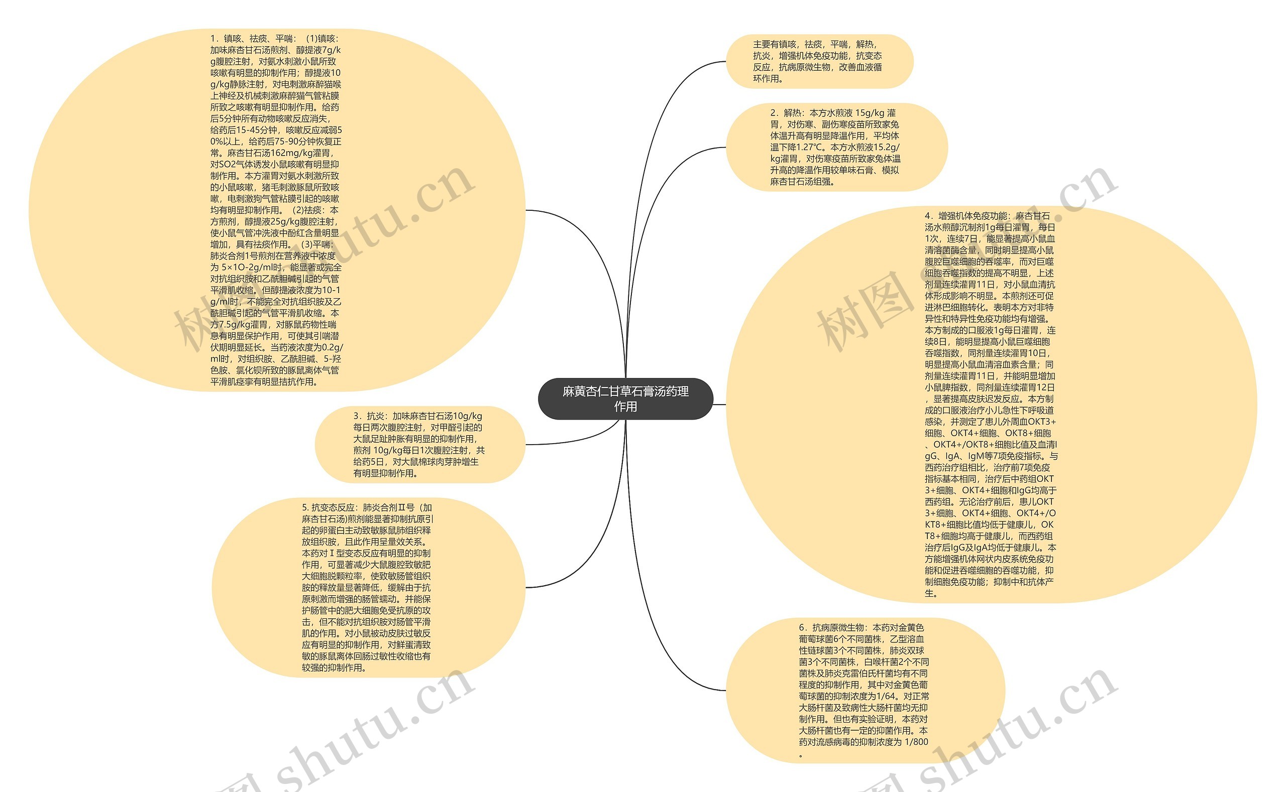 麻黄杏仁甘草石膏汤药理作用思维导图