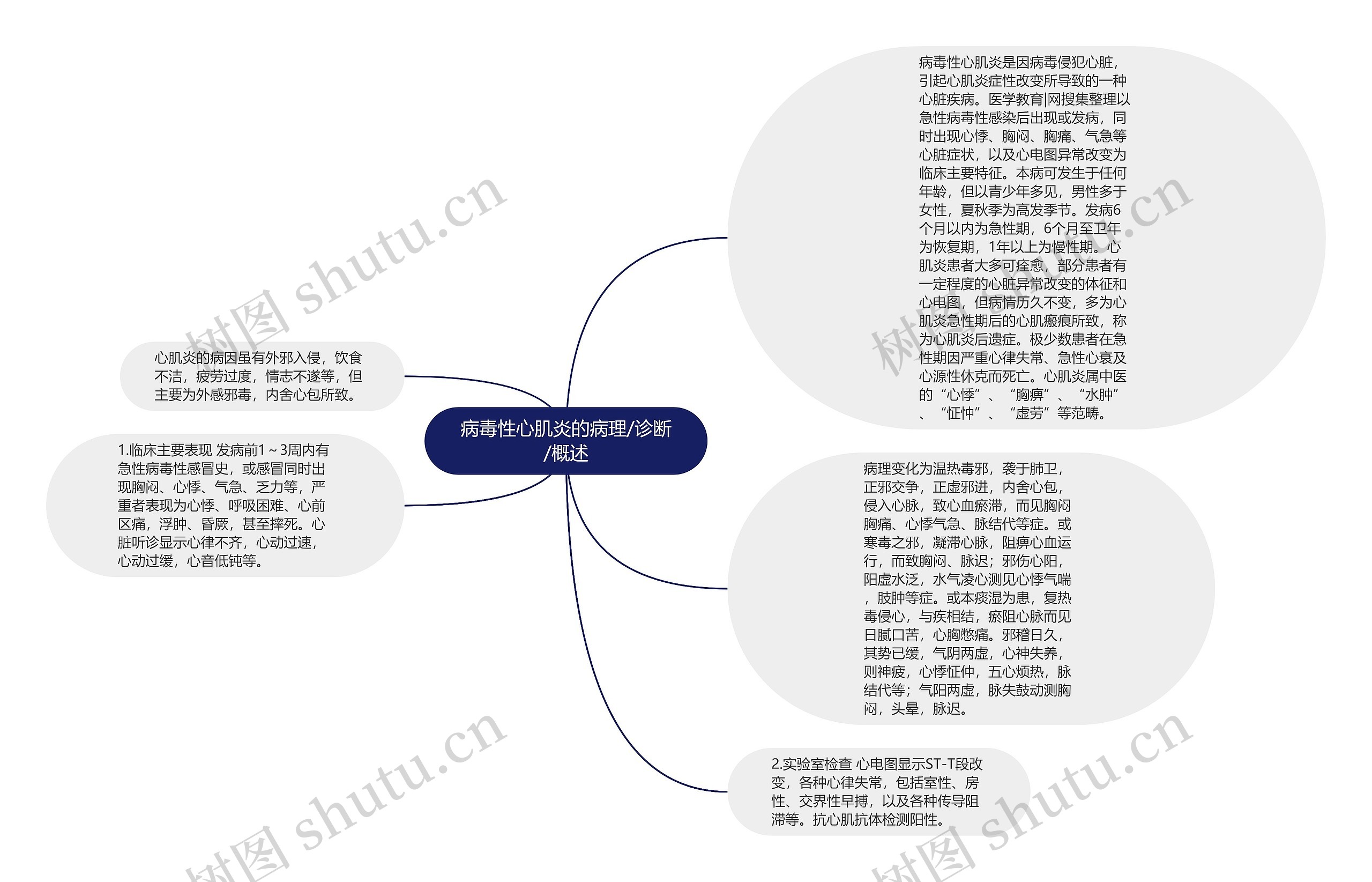 病毒性心肌炎的病理/诊断/概述思维导图