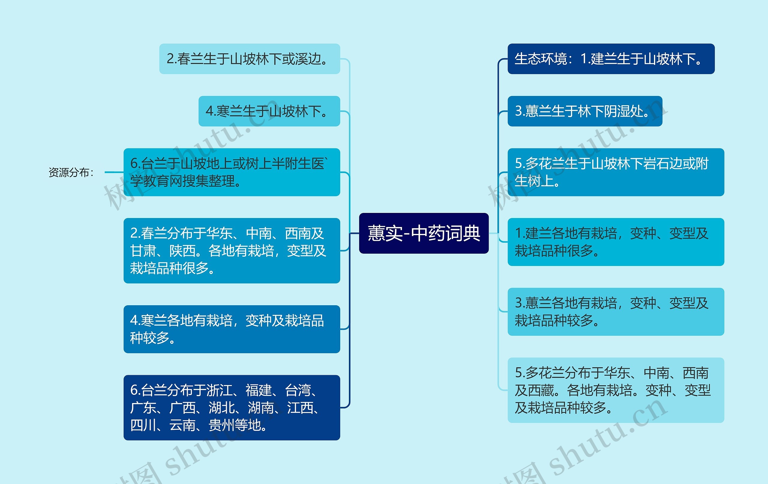 蕙实-中药词典思维导图