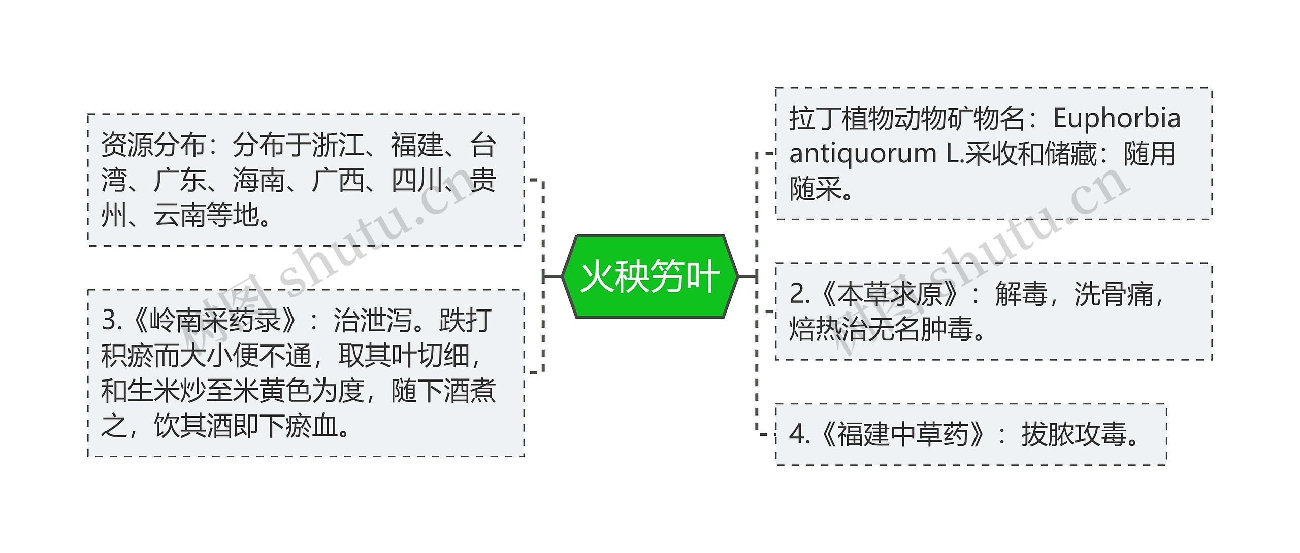 火秧竻叶思维导图