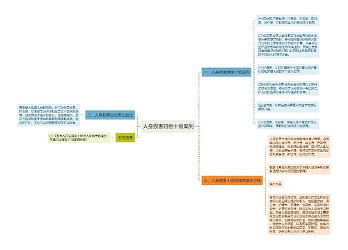 人身损害赔偿十级案列