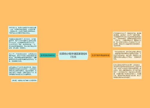 玩具枪小贩申请国家赔偿67万元