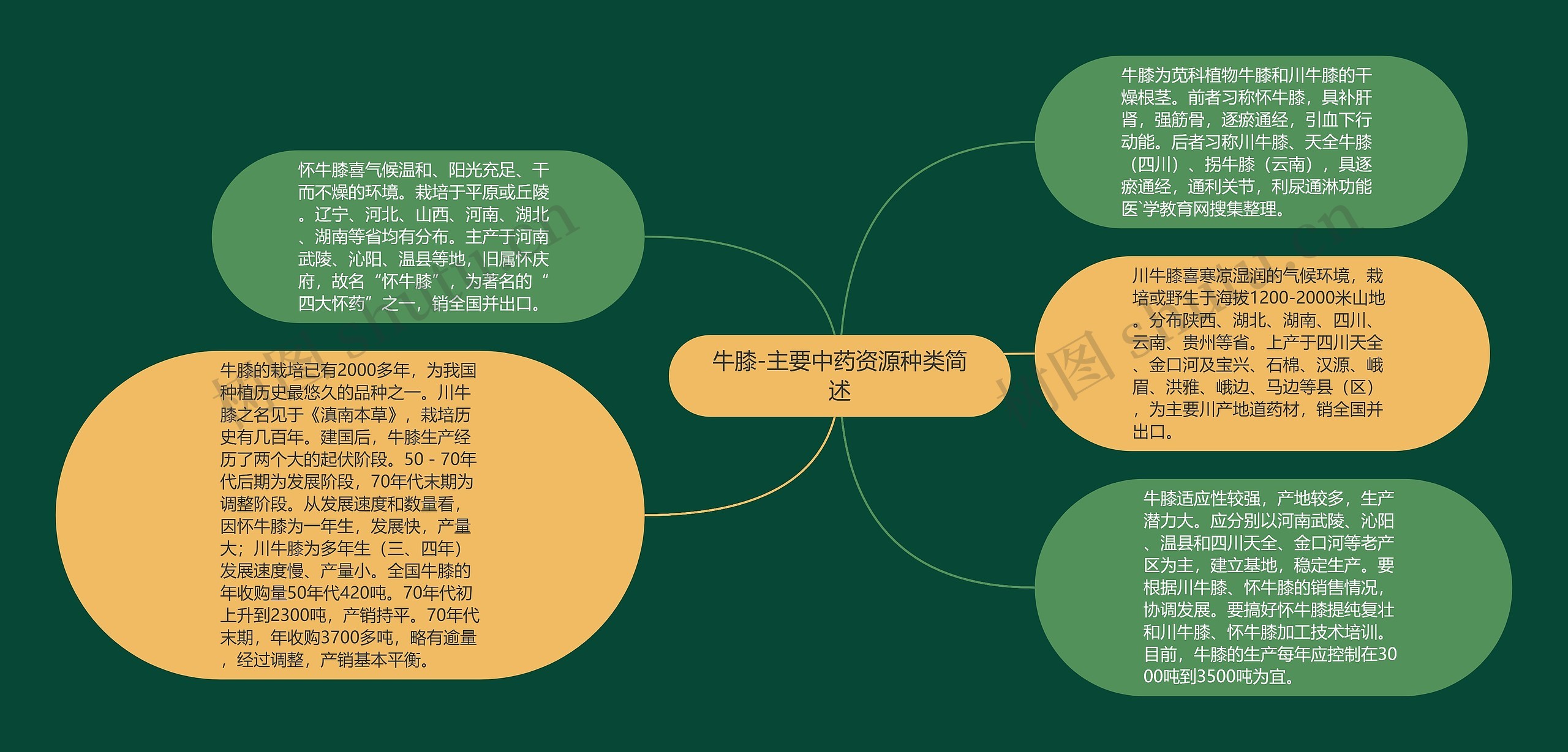 牛膝-主要中药资源种类简述思维导图