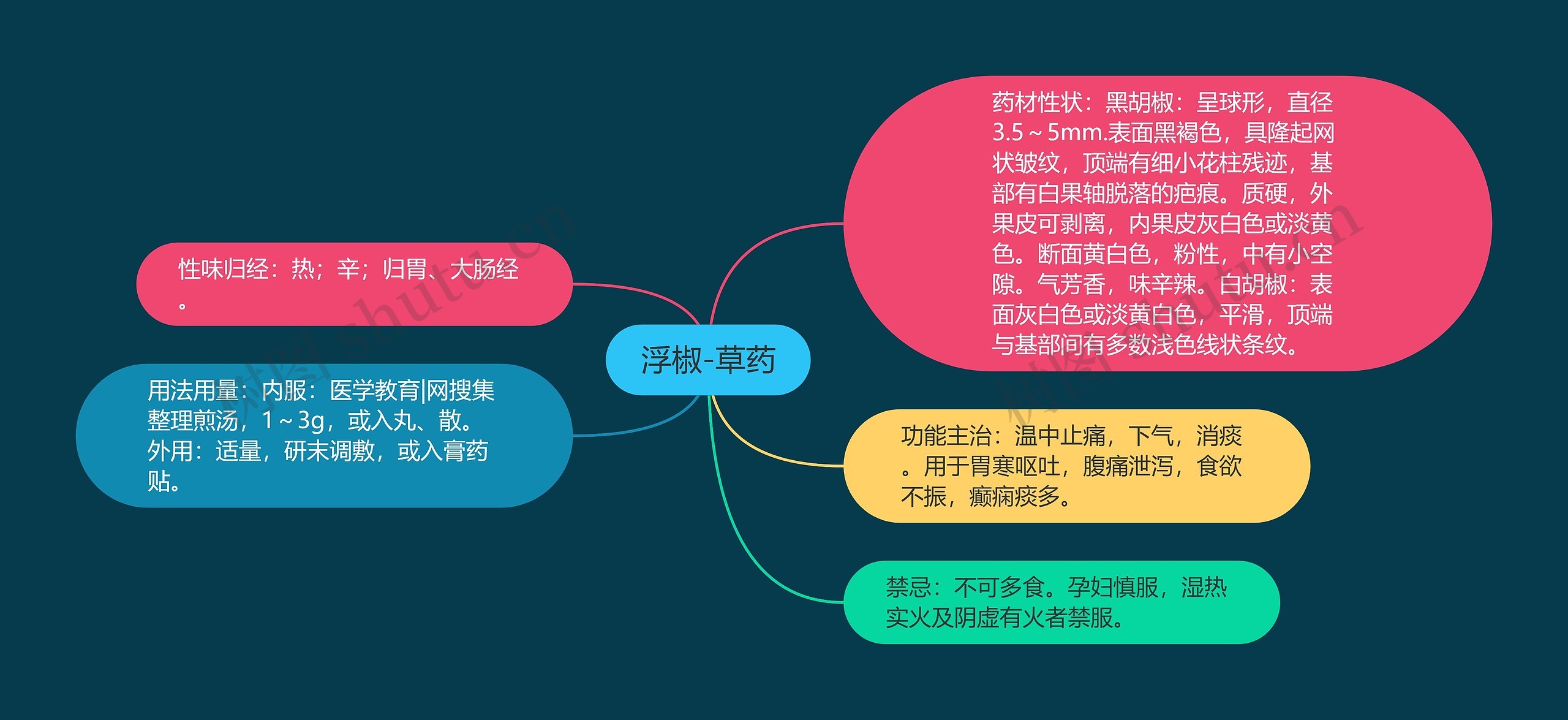 浮椒-草药 浮椒-草药