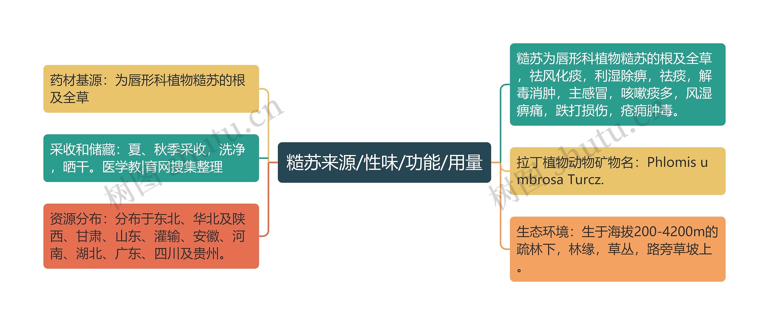 糙苏来源/性味/功能/用量